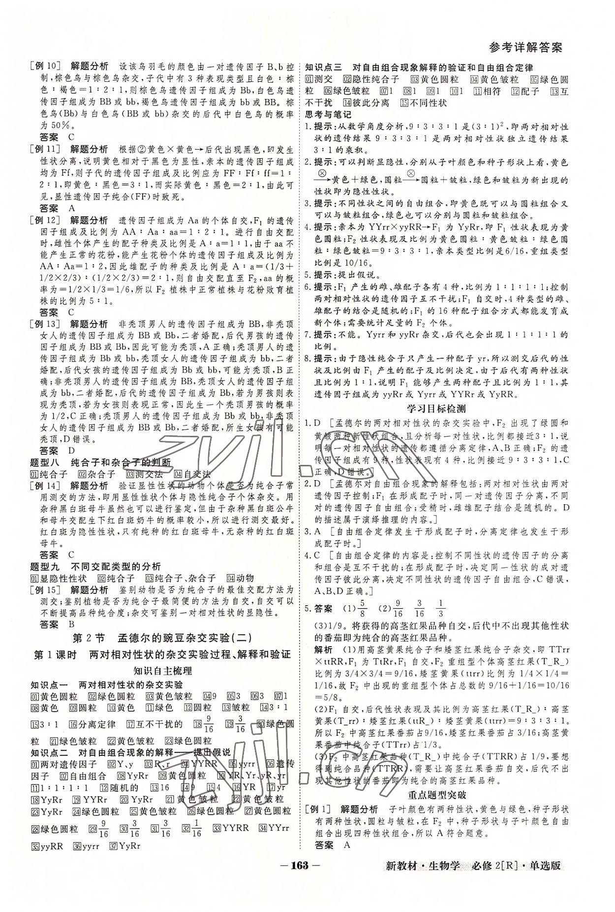 2022年金版教程高中新课程创新导学案高中生物必修2人教版 参考答案第3页