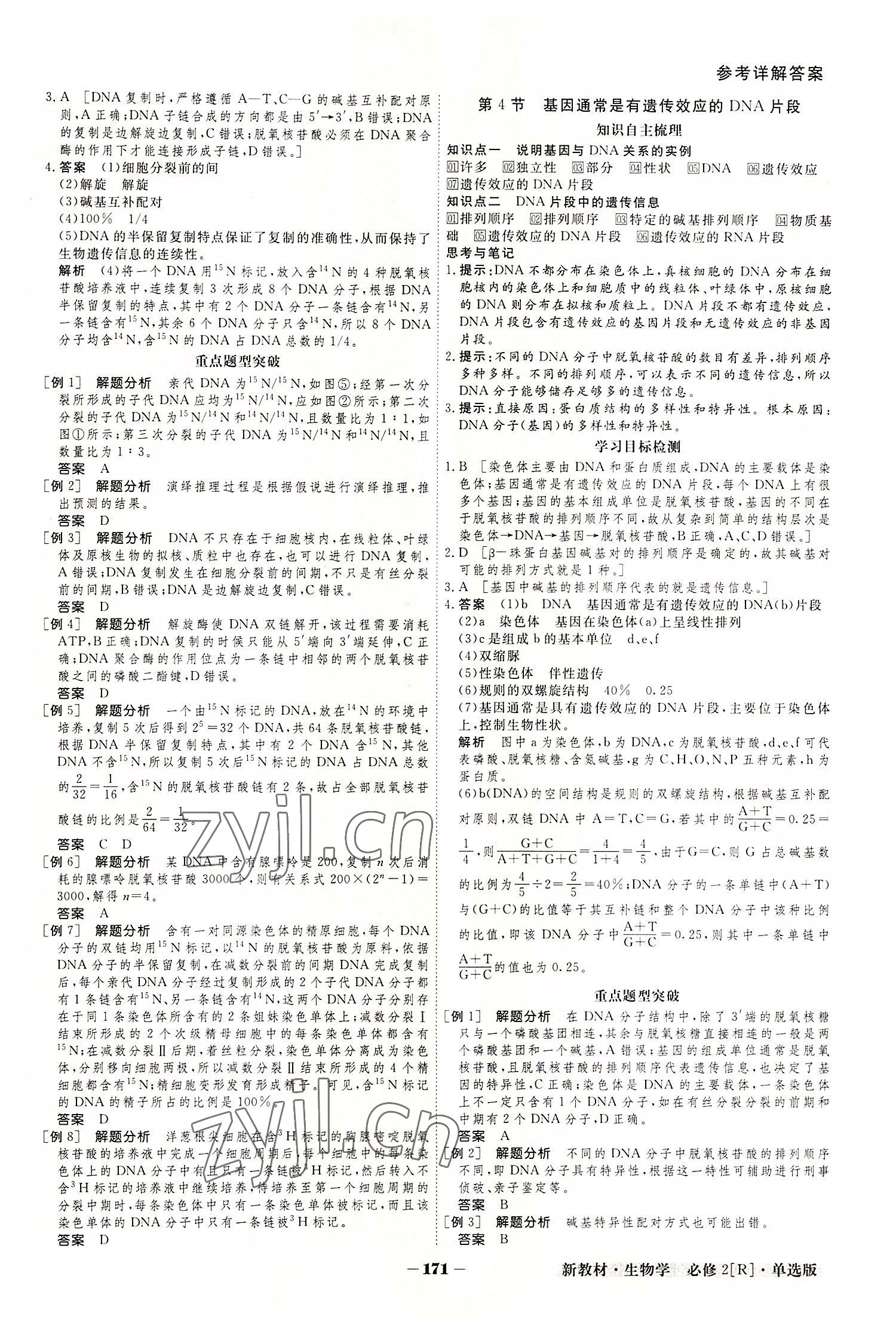 2022年金版教程高中新課程創(chuàng)新導(dǎo)學(xué)案高中生物必修2人教版 參考答案第11頁