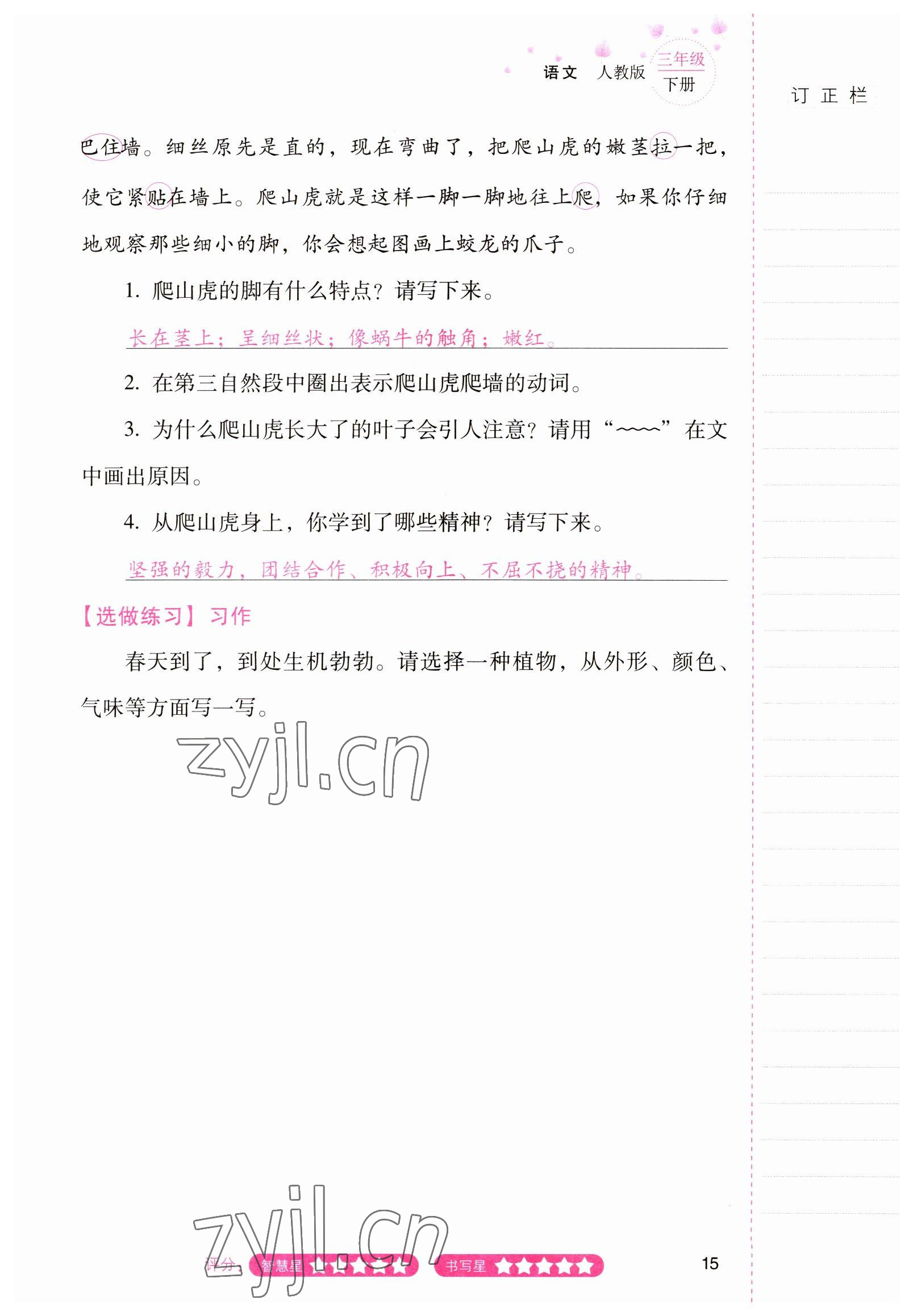 2022年云南省标准教辅同步指导训练与检测三年级语文下册人教版 参考答案第14页