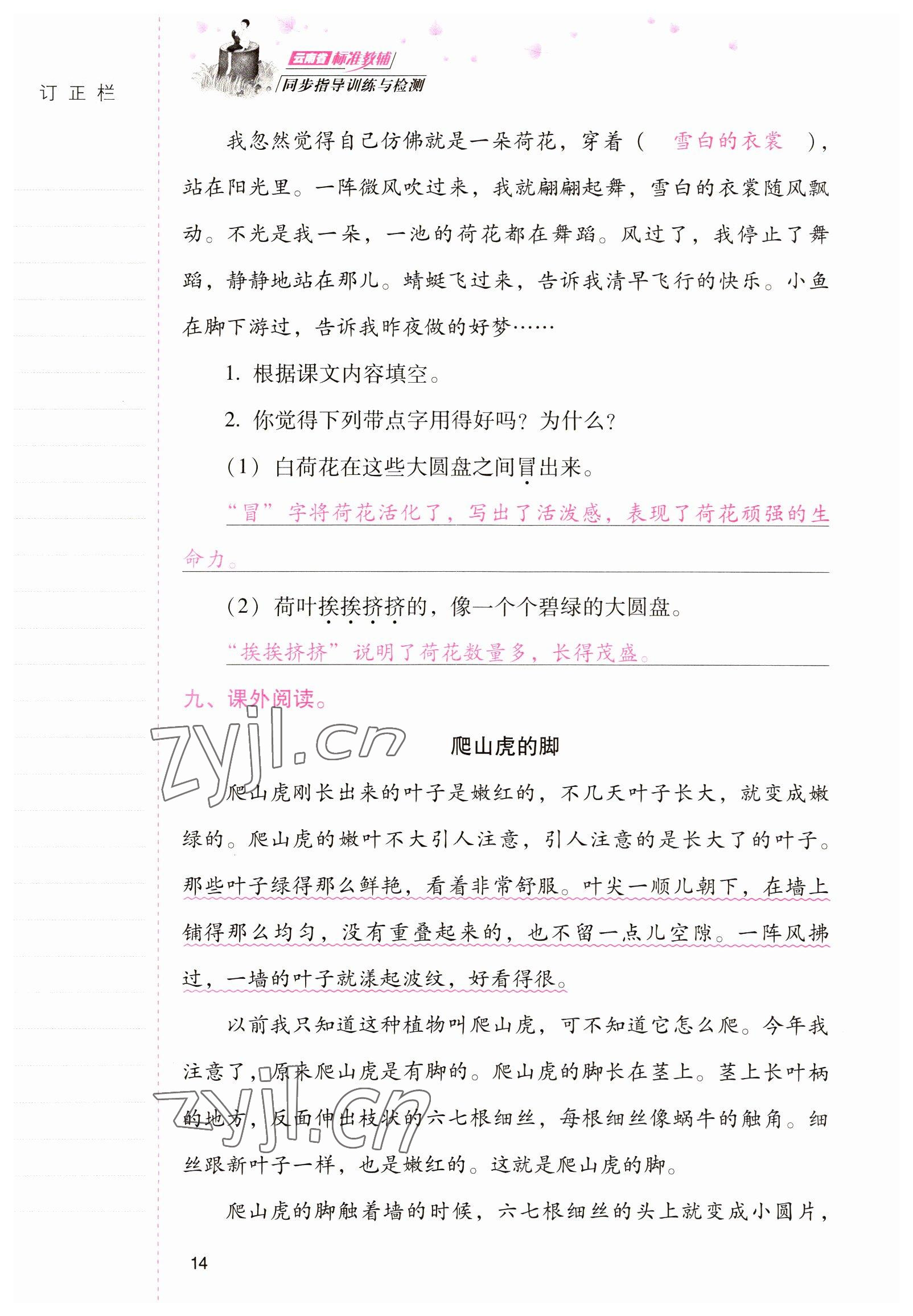 2022年云南省標(biāo)準(zhǔn)教輔同步指導(dǎo)訓(xùn)練與檢測三年級語文下冊人教版 參考答案第13頁