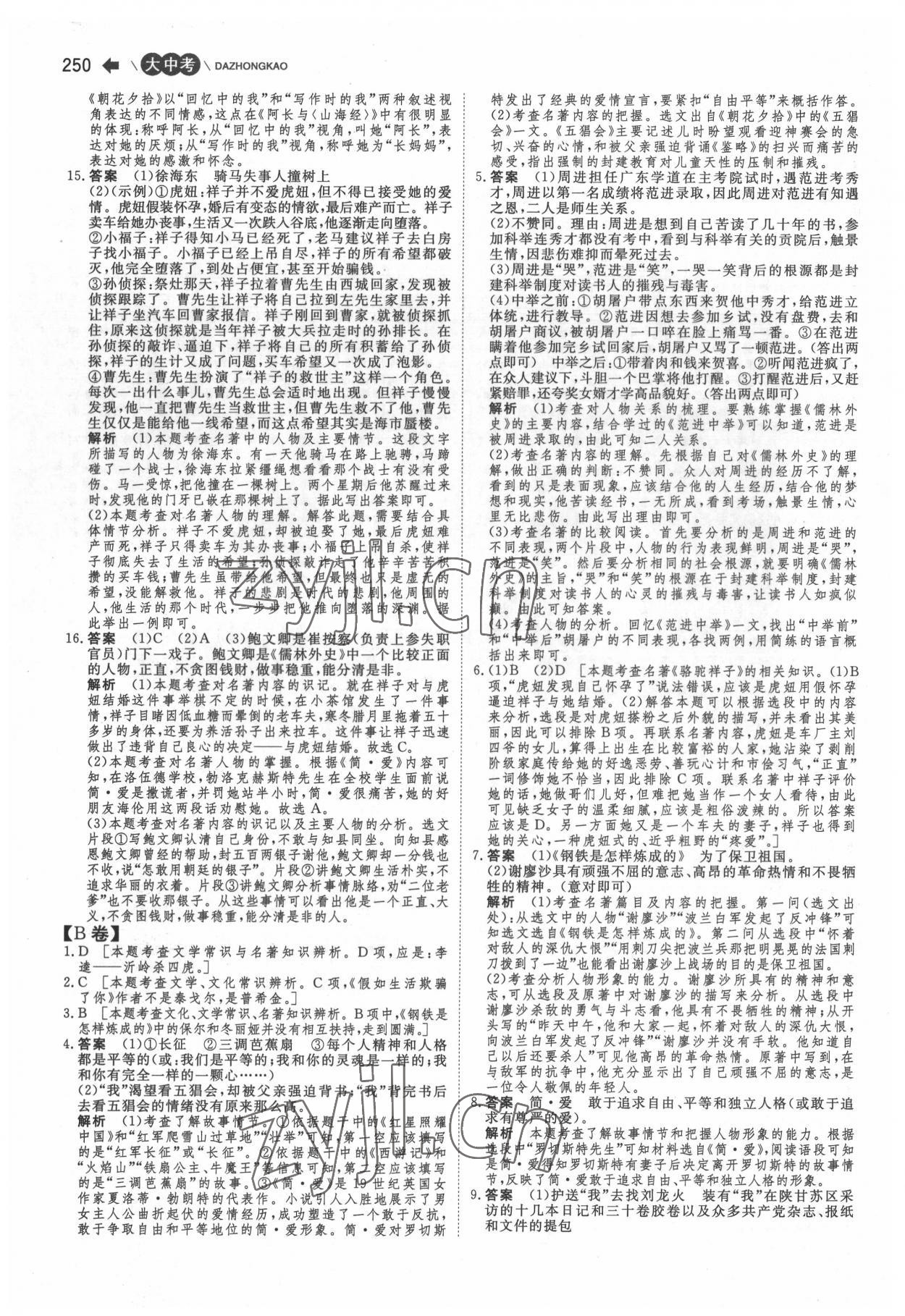 2022年大中考语文 第8页