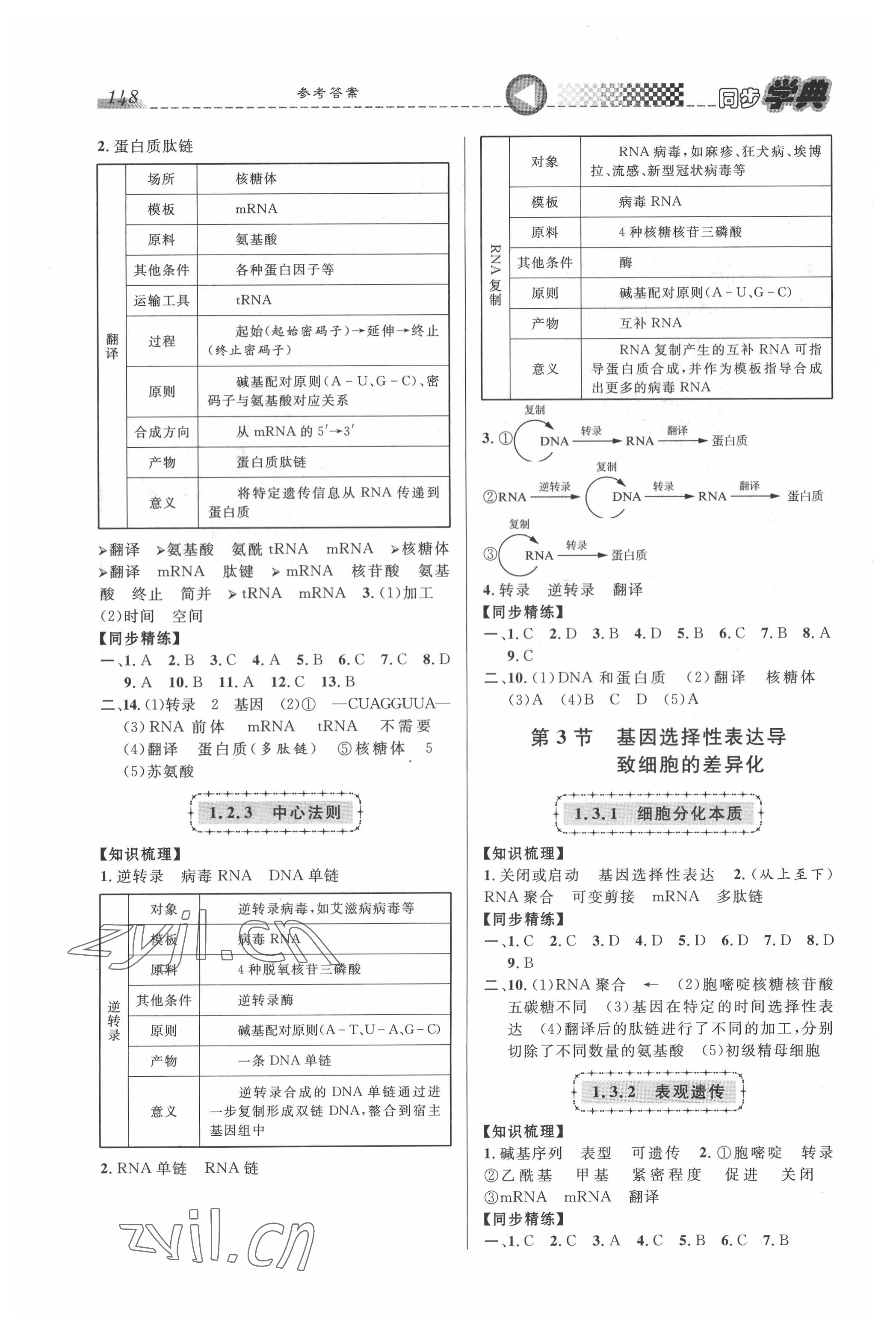 2022年惠宇文化同步學典高中生物必修第二冊人教版 第2頁