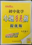 2022年初中化學(xué)小題狂做九年級(jí)下冊(cè)滬教版提優(yōu)版