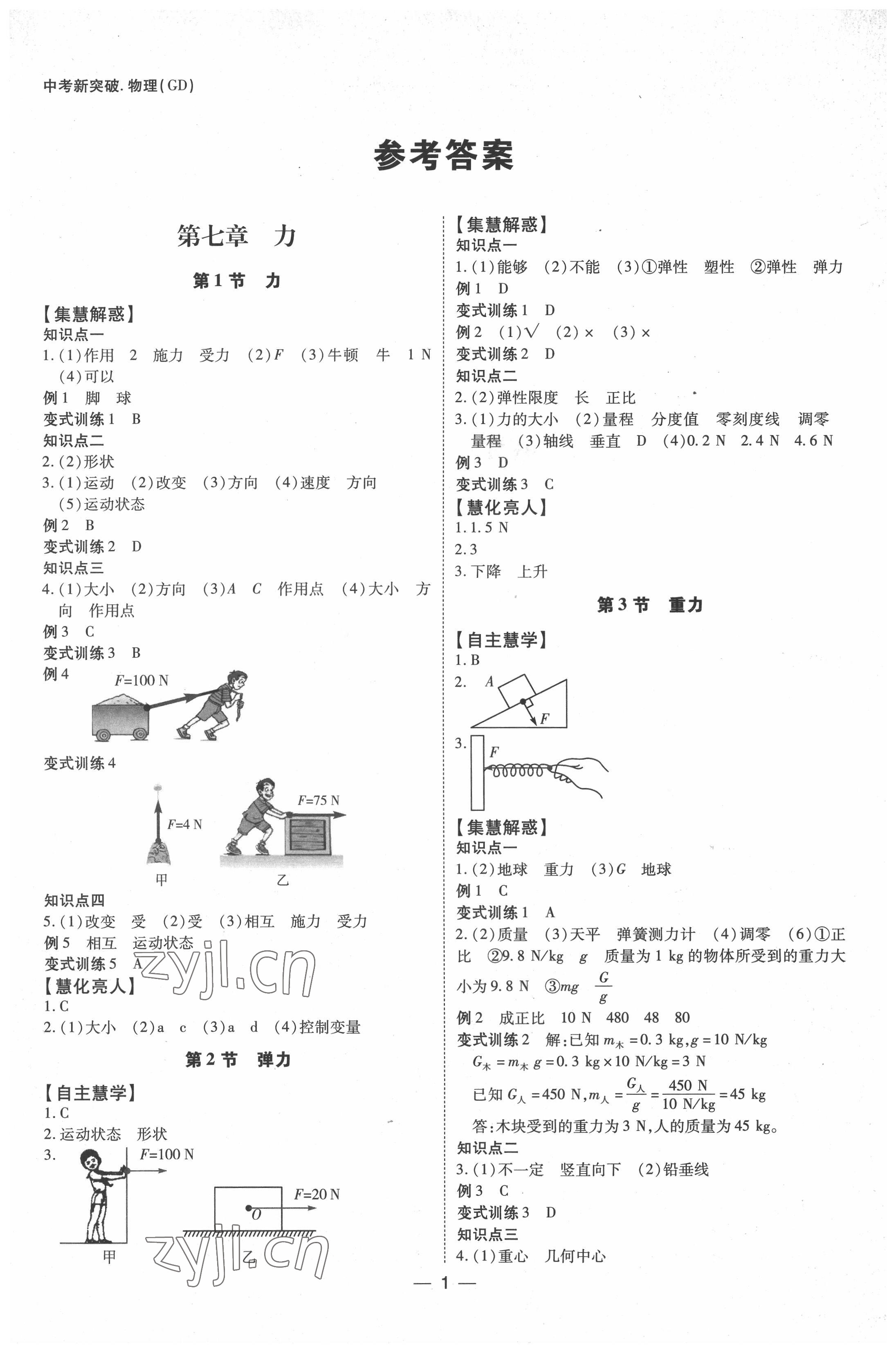 2022年同步經(jīng)典學(xué)案八年級物理下冊 第1頁