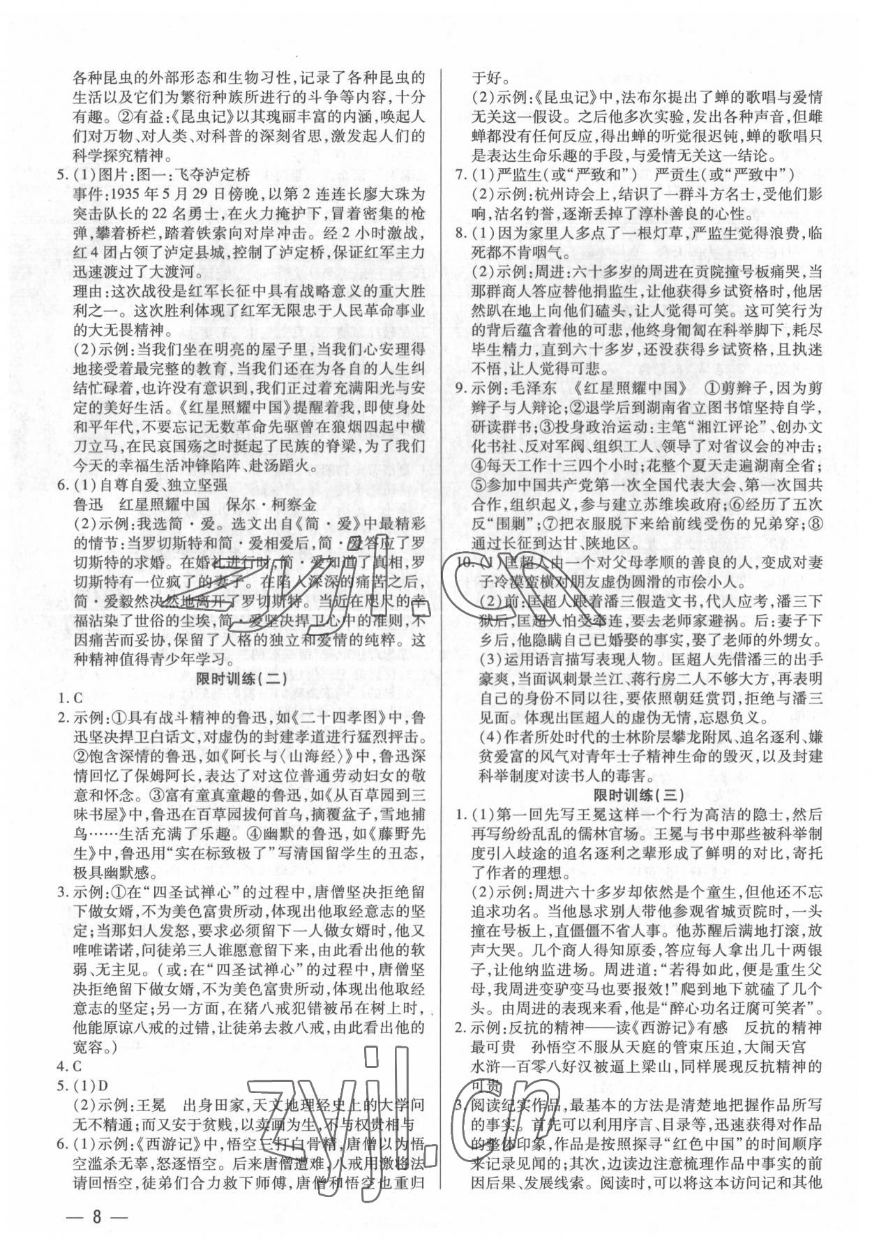 2022年基礎(chǔ)精練考點(diǎn)集訓(xùn)總復(fù)習(xí)深圳專版 第8頁