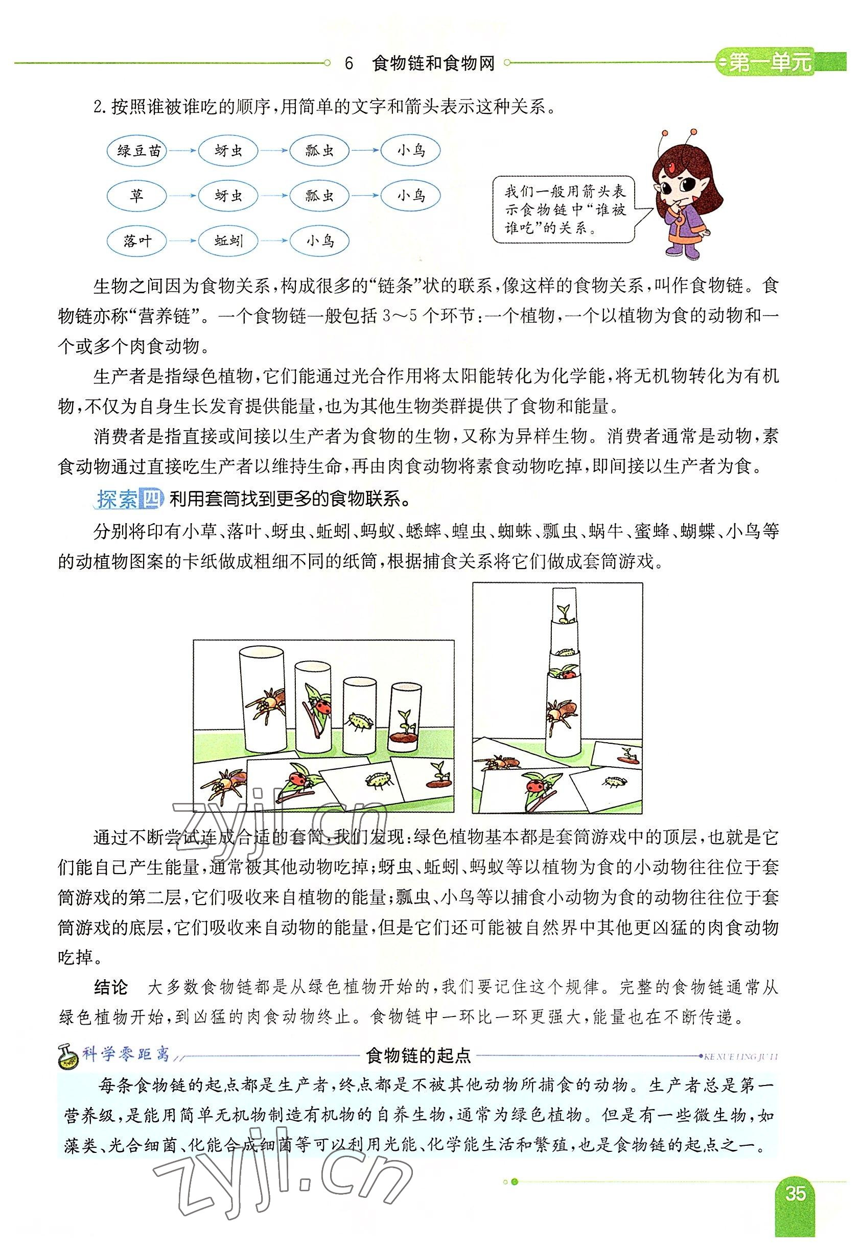 2022年教材课本五年级科学下册教科版 参考答案第35页