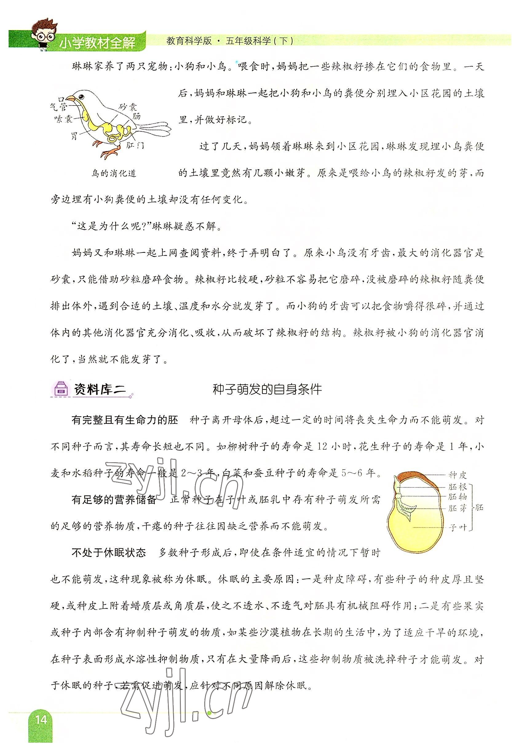 2022年教材课本五年级科学下册教科版 参考答案第14页