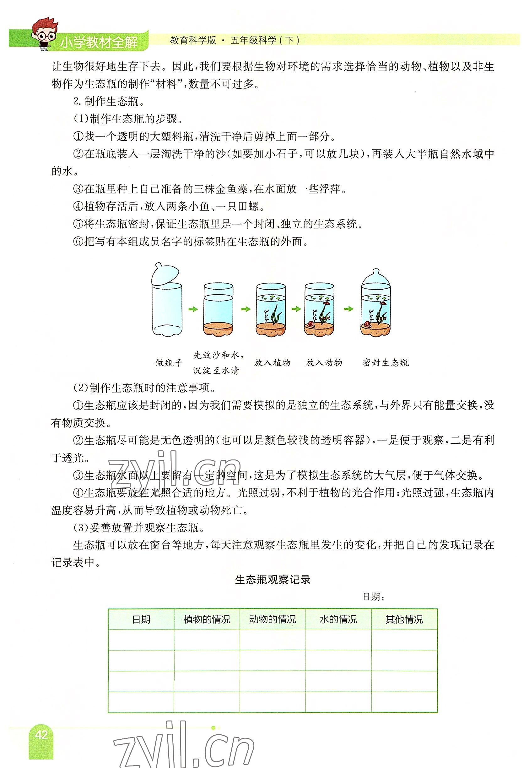 2022年教材课本五年级科学下册教科版 参考答案第42页