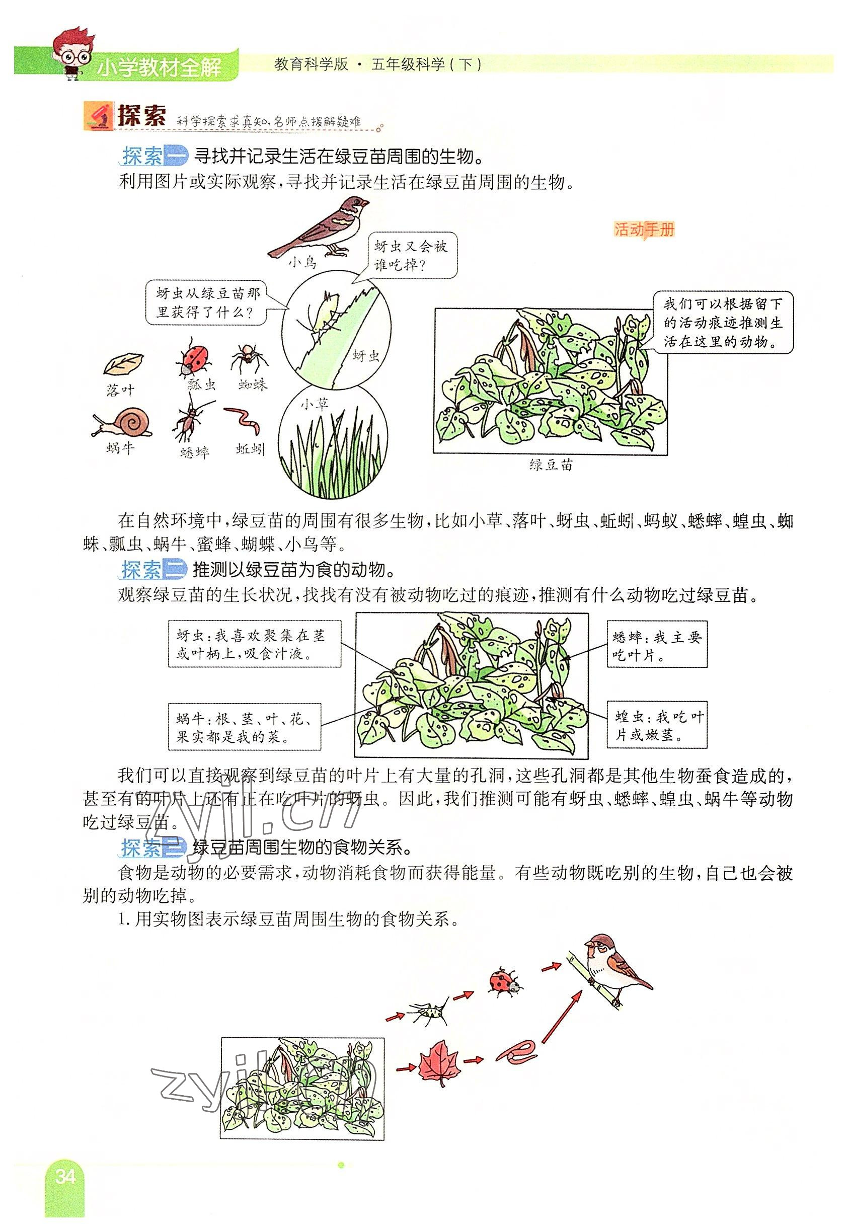 2022年教材课本五年级科学下册教科版 参考答案第34页