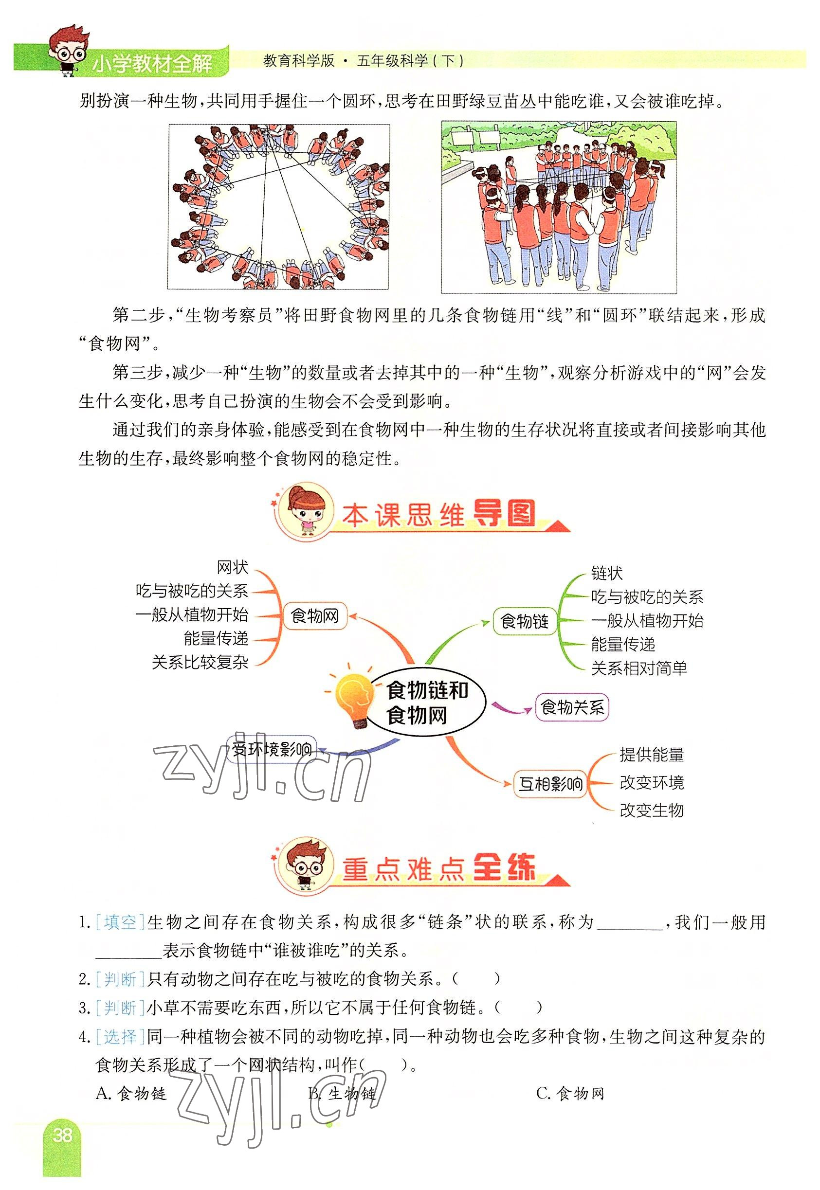 2022年教材课本五年级科学下册教科版 参考答案第38页