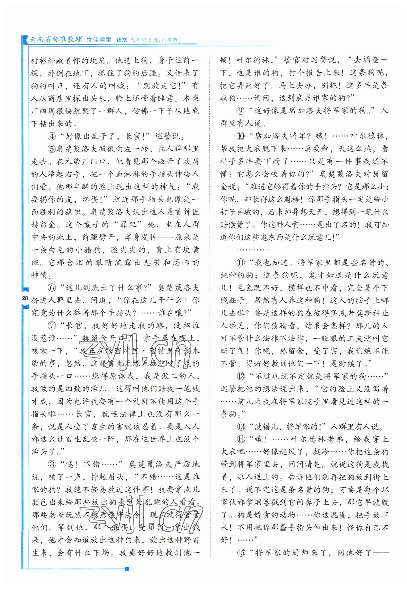 2022年云南省标准教辅优佳学案九年级语文下册人教版 参考答案第28页