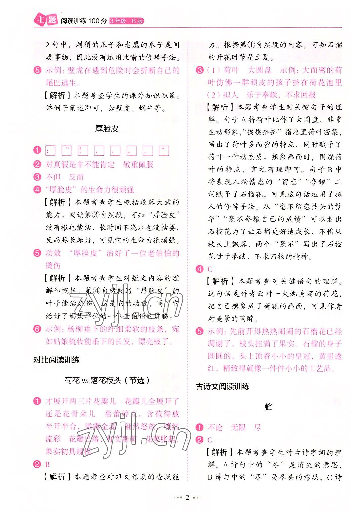 2022年主題閱讀訓練100分三年級語文B版廣東專版 第2頁