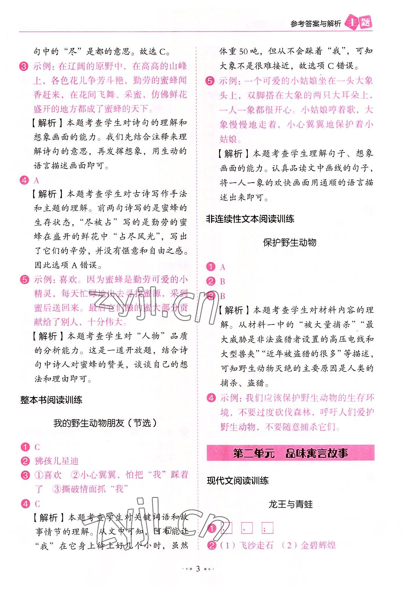 2022年主題閱讀訓練100分三年級語文B版廣東專版 第3頁