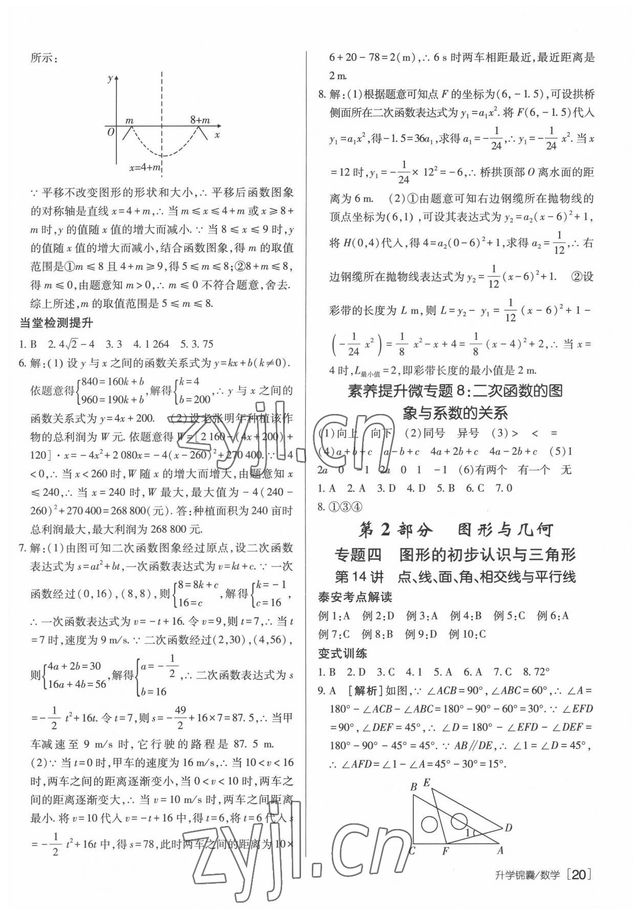 2022年升學(xué)錦囊數(shù)學(xué)泰安專版 參考答案第20頁