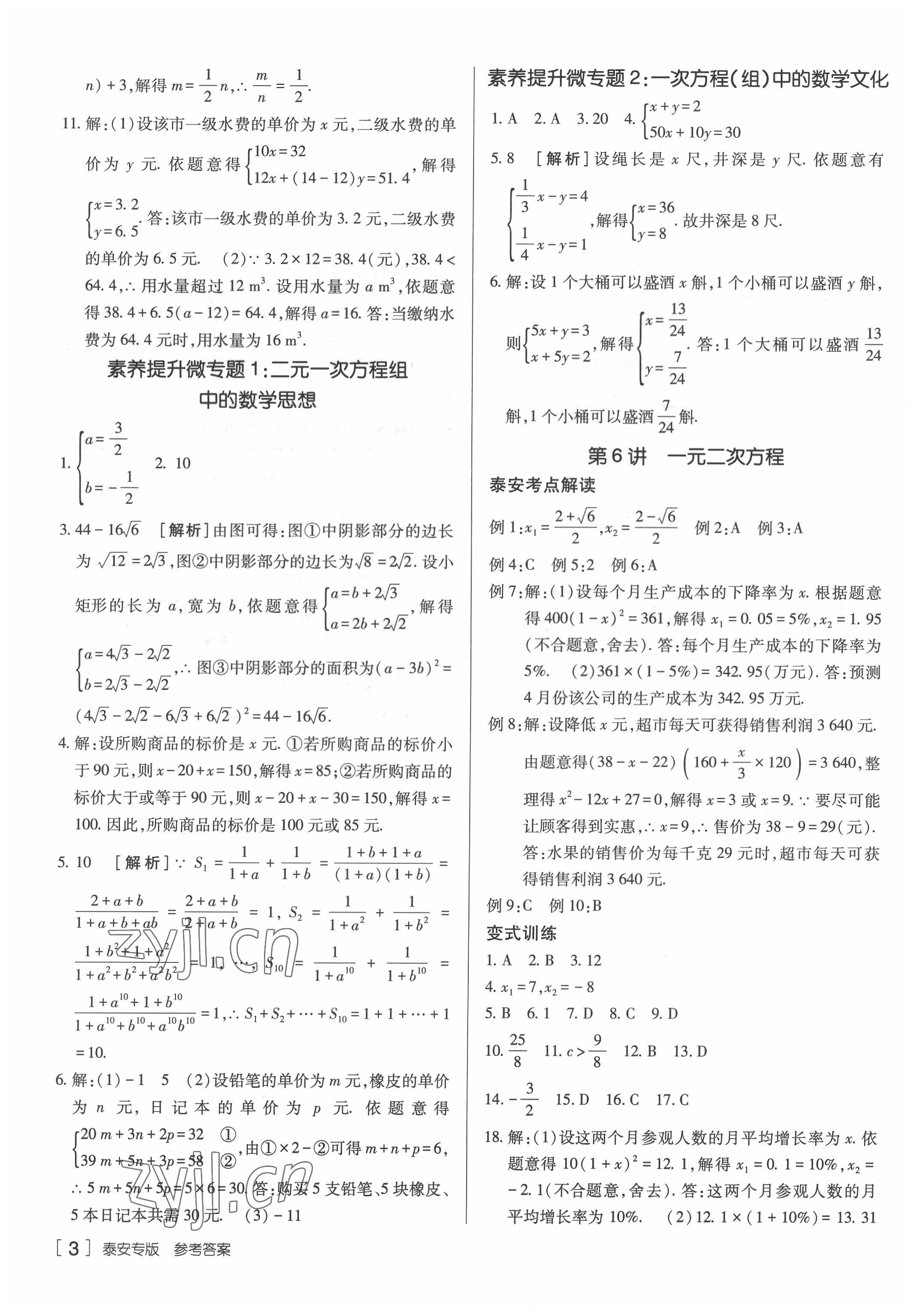 2022年升學(xué)錦囊數(shù)學(xué)泰安專版 參考答案第3頁