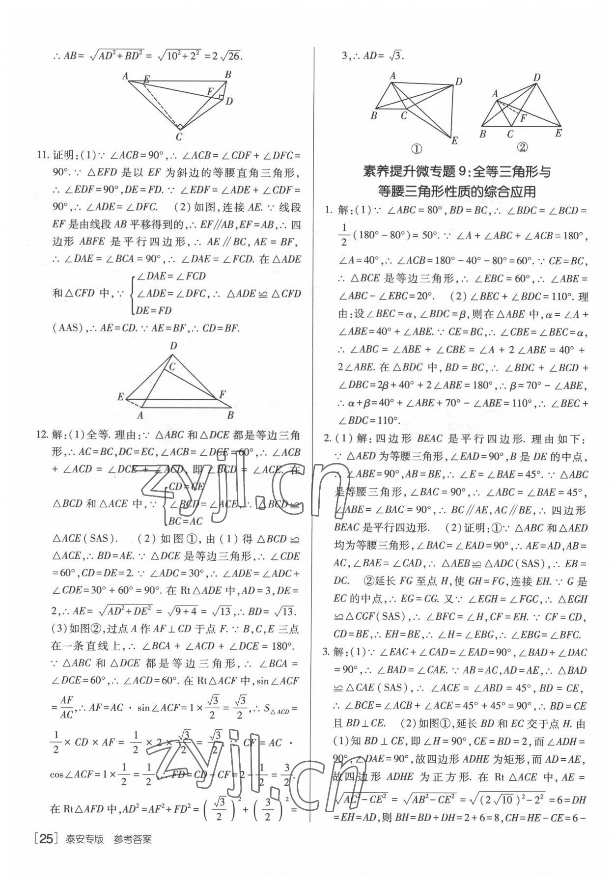 2022年升學(xué)錦囊數(shù)學(xué)泰安專版 參考答案第25頁