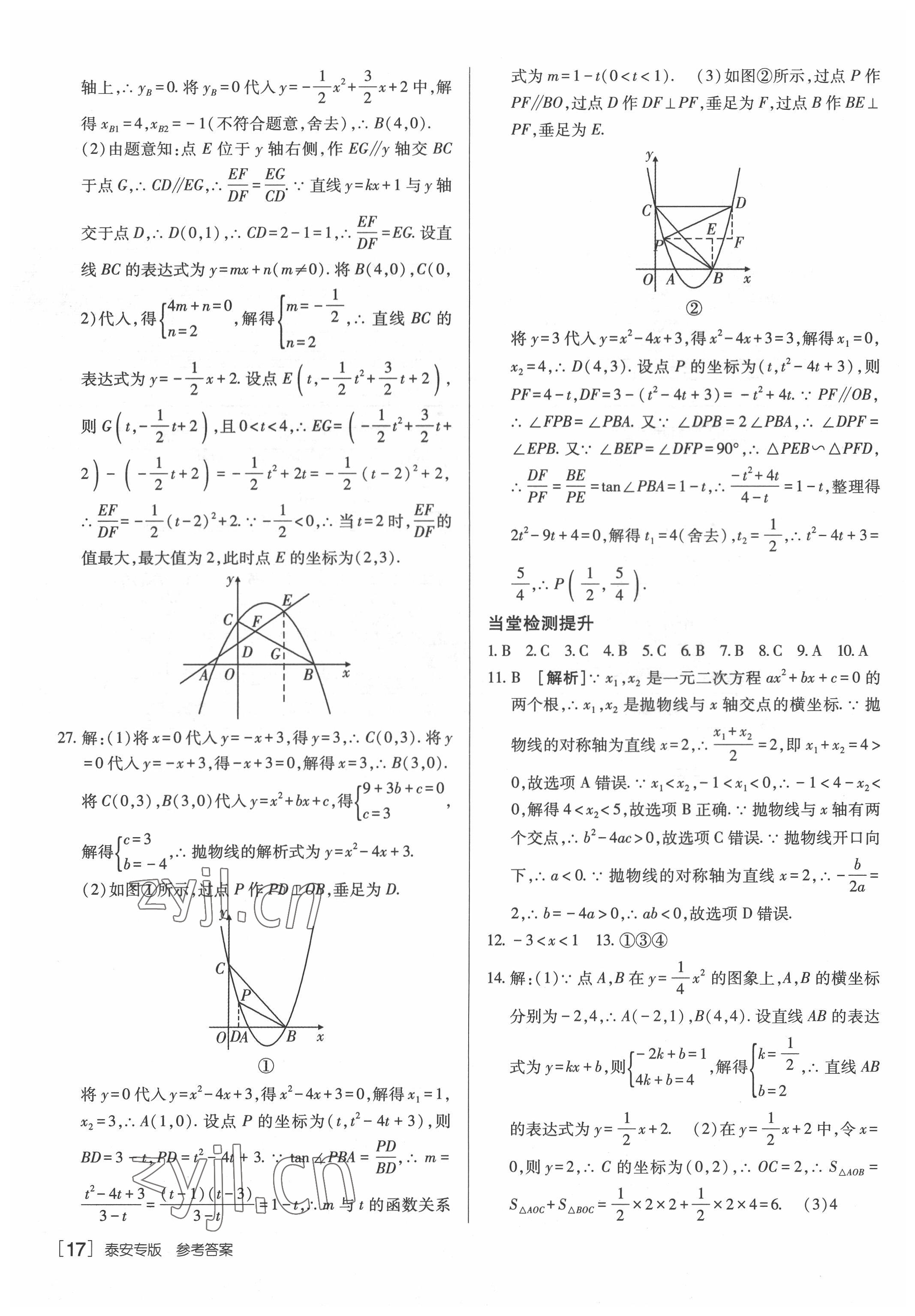 2022年升學(xué)錦囊數(shù)學(xué)泰安專版 參考答案第17頁