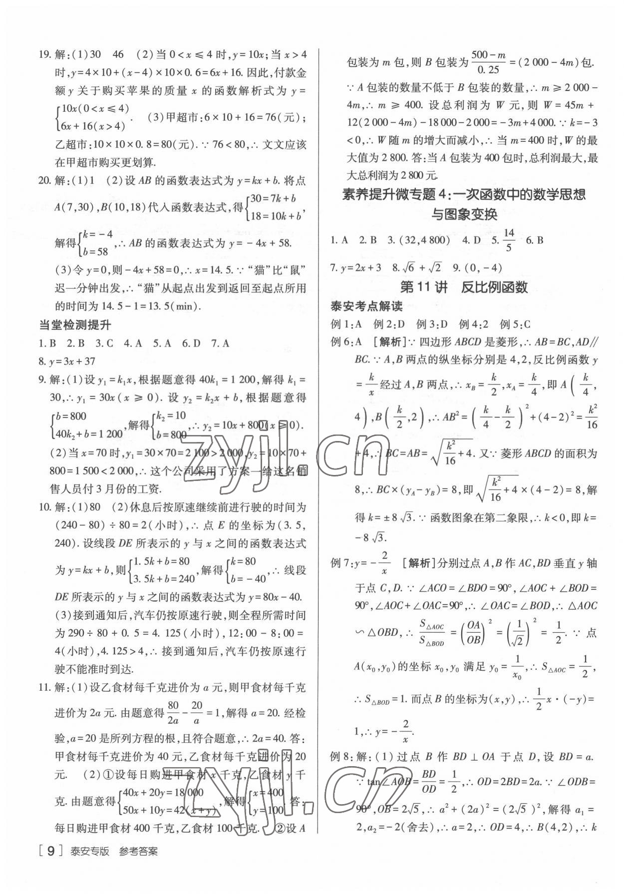 2022年升學(xué)錦囊數(shù)學(xué)泰安專版 參考答案第9頁