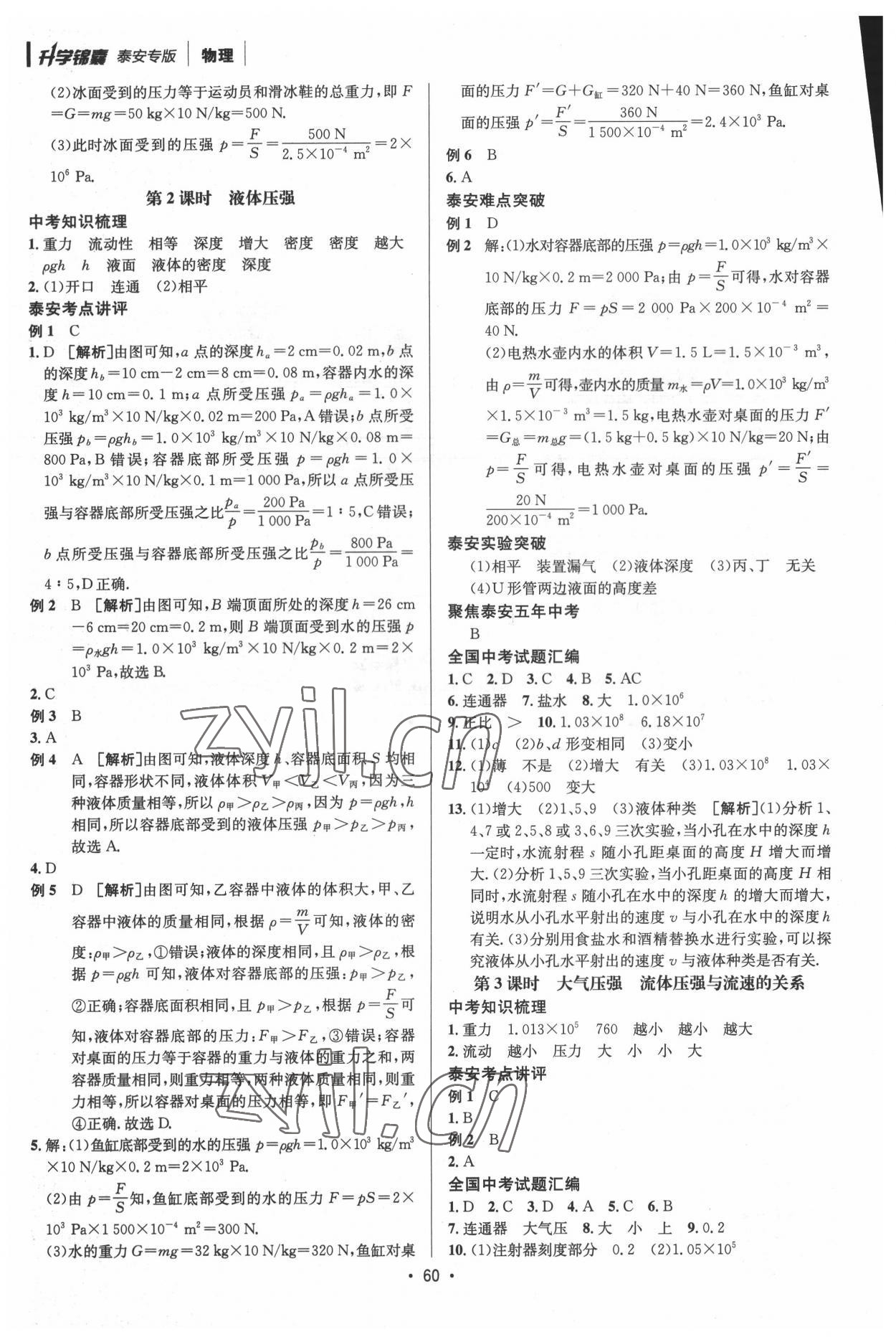 2022年升学锦囊物理泰安专版 第10页