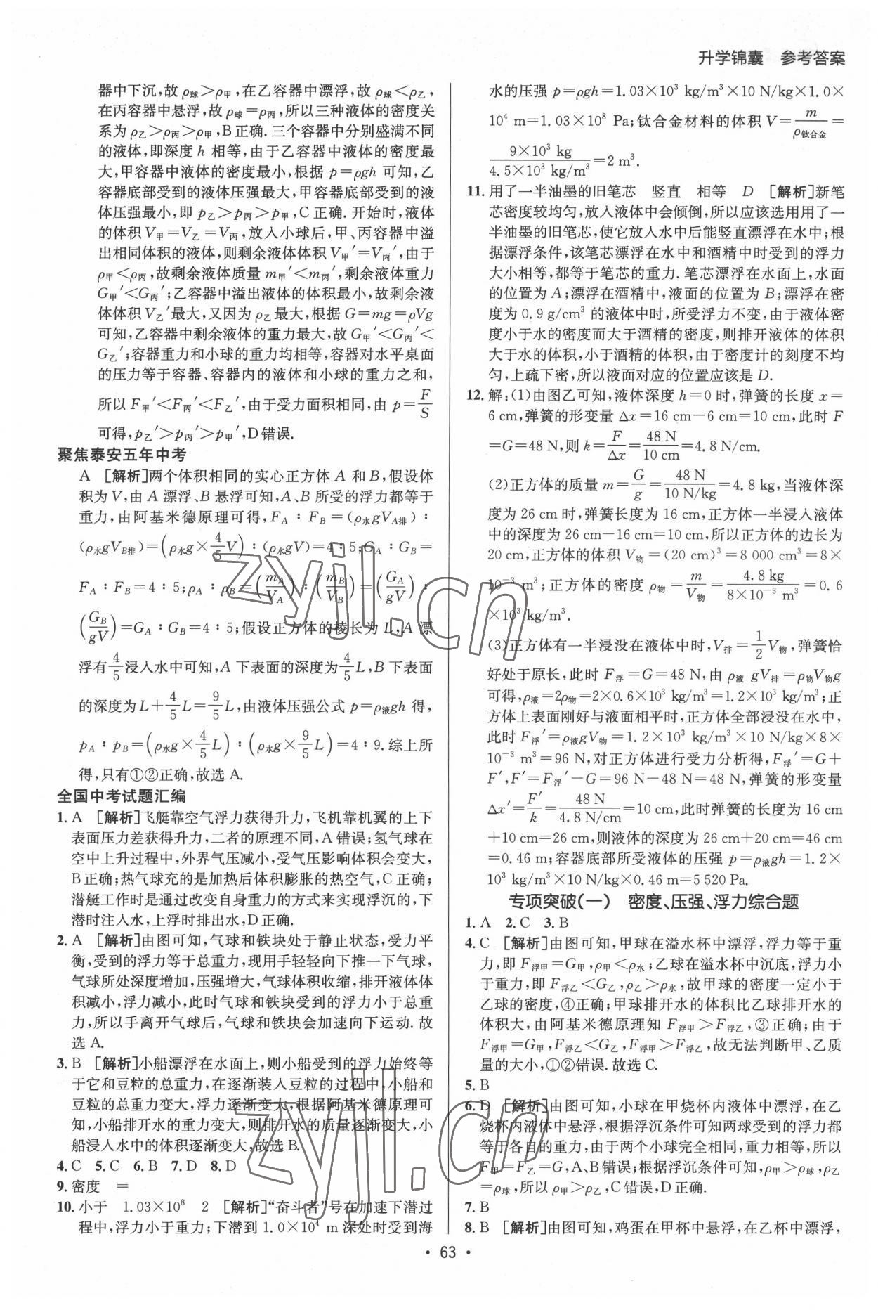 2022年升学锦囊物理泰安专版 第13页