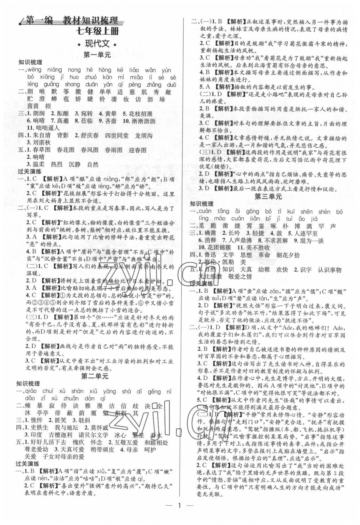 2022年中考對(duì)策語(yǔ)文泰安專版 參考答案第1頁(yè)