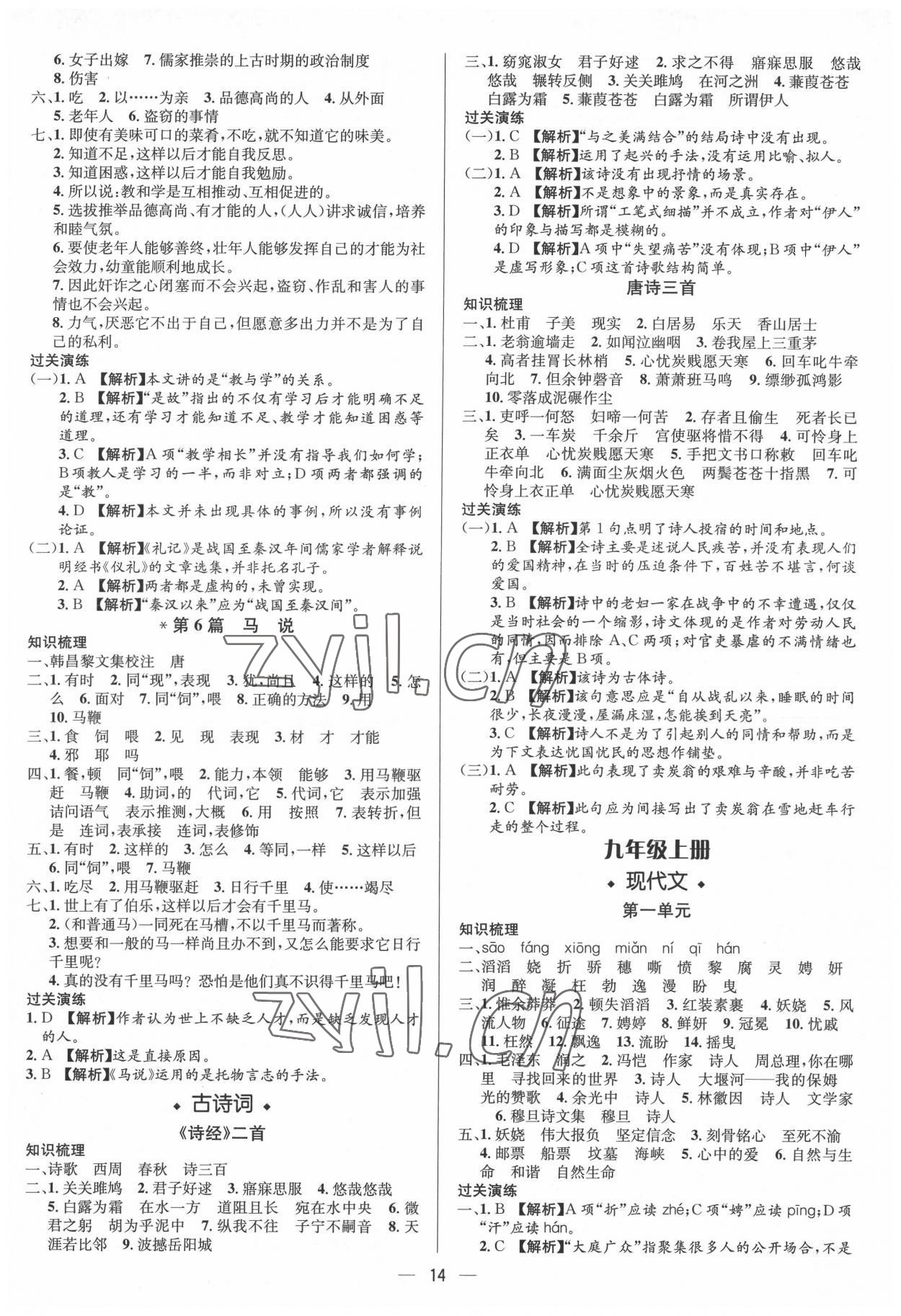 2022年中考對(duì)策語(yǔ)文泰安專版 參考答案第14頁(yè)