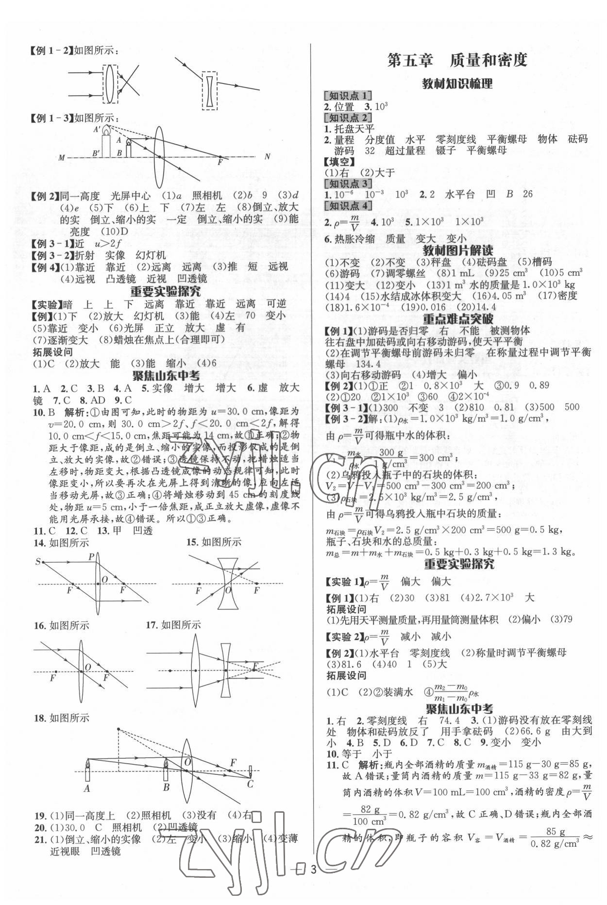2022年中考對策物理泰安專版 參考答案第3頁