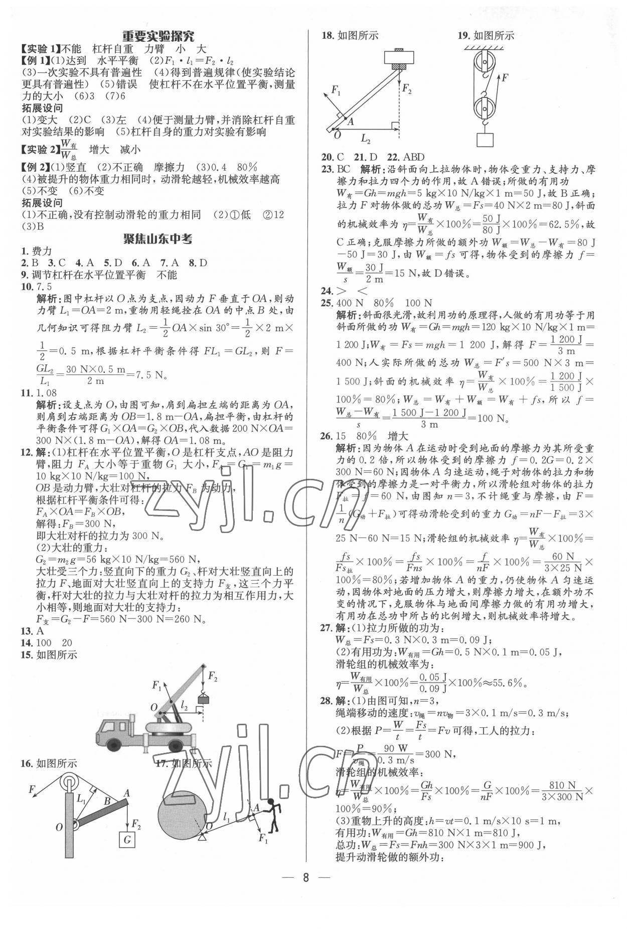 2022年中考對策物理泰安專版 參考答案第8頁