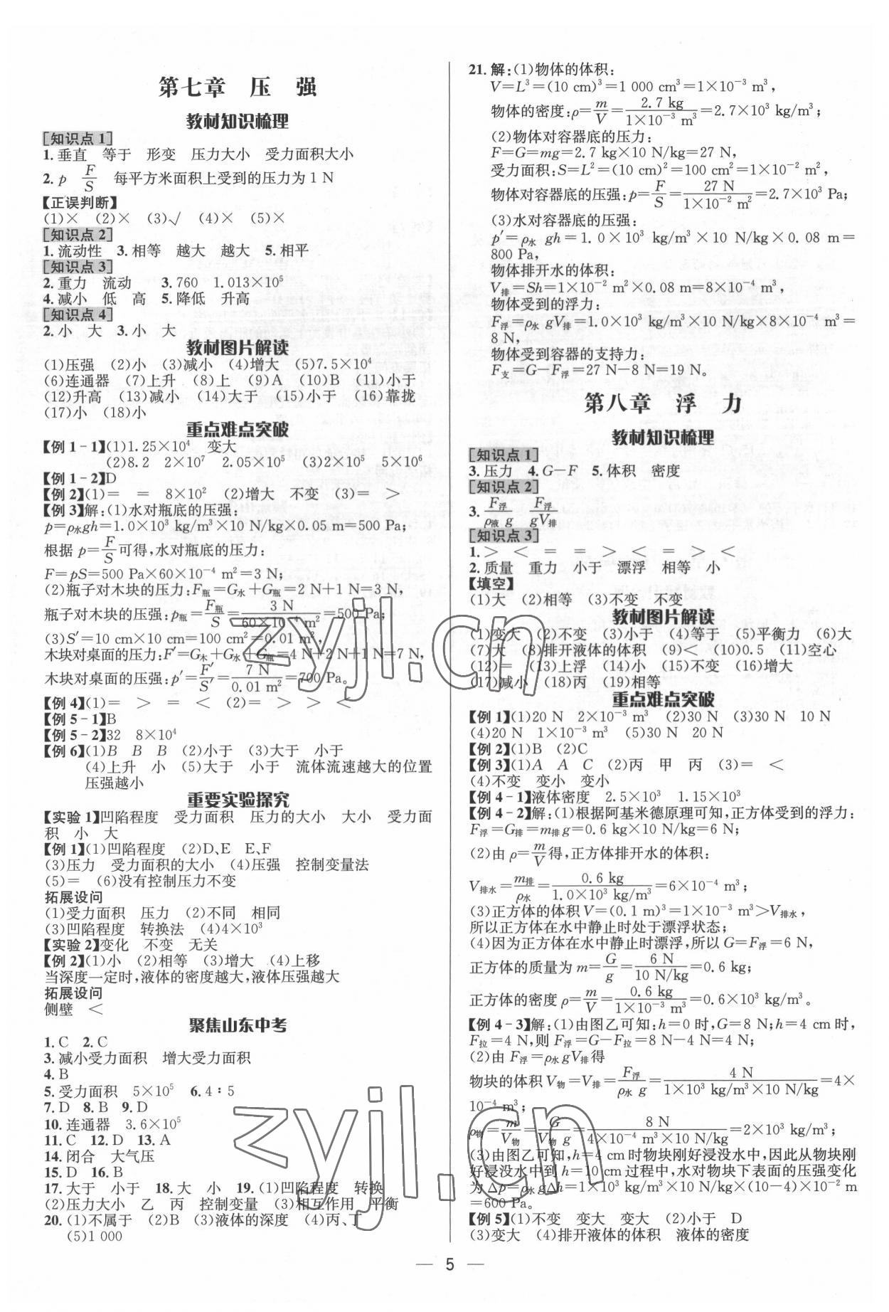 2022年中考對策物理泰安專版 參考答案第5頁