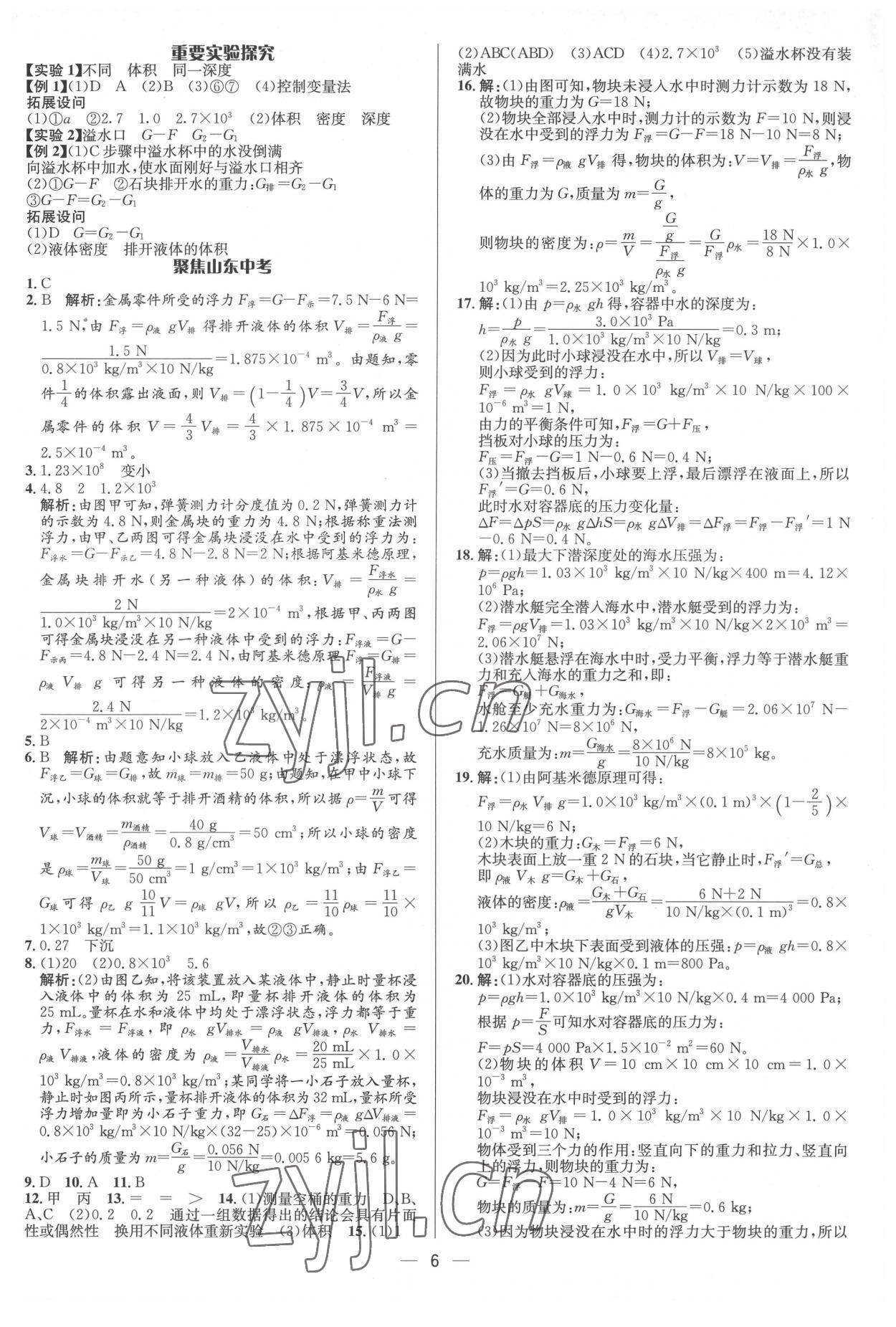 2022年中考對(duì)策物理泰安專版 參考答案第6頁