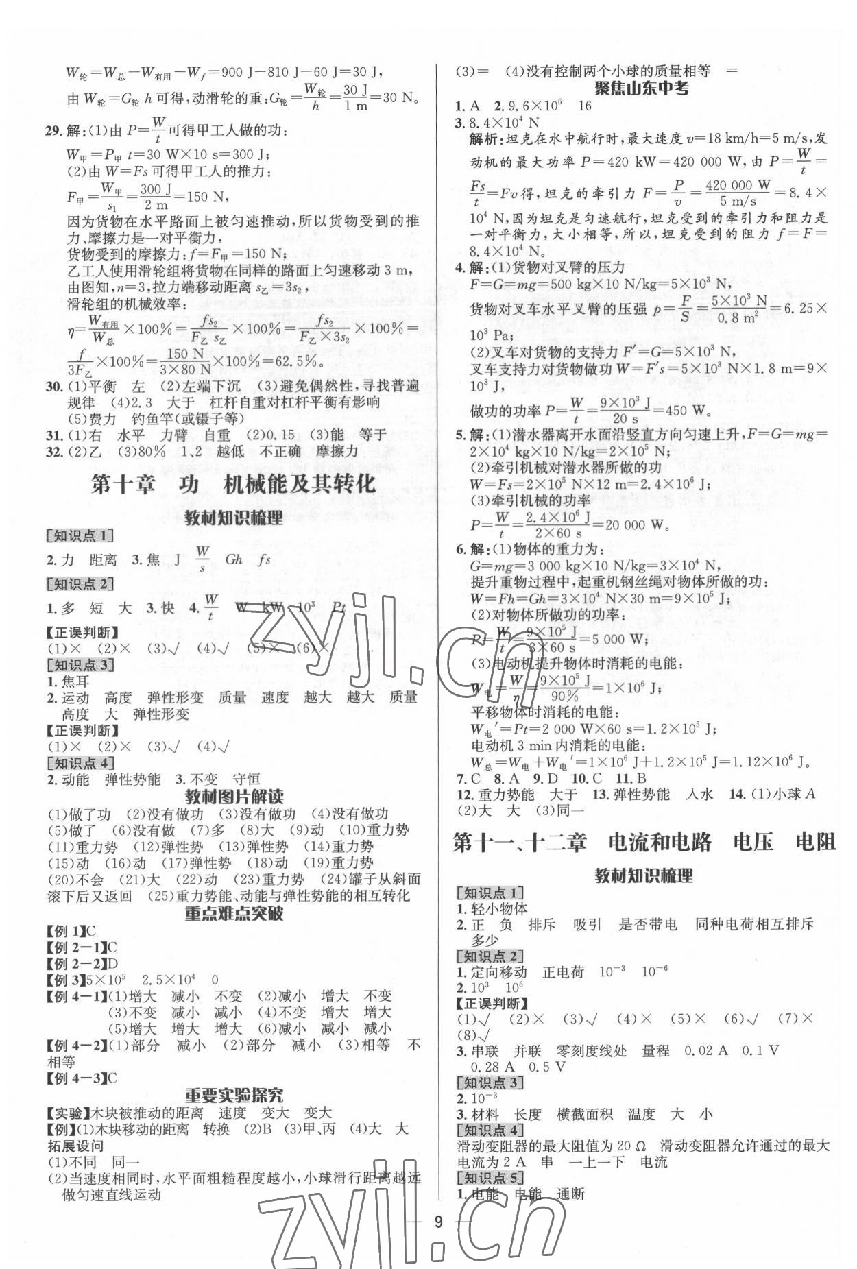 2022年中考對策物理泰安專版 參考答案第9頁