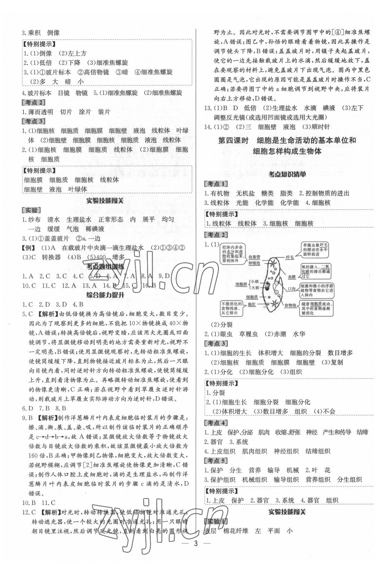 2022年中考对策生物泰安专版 参考答案第3页