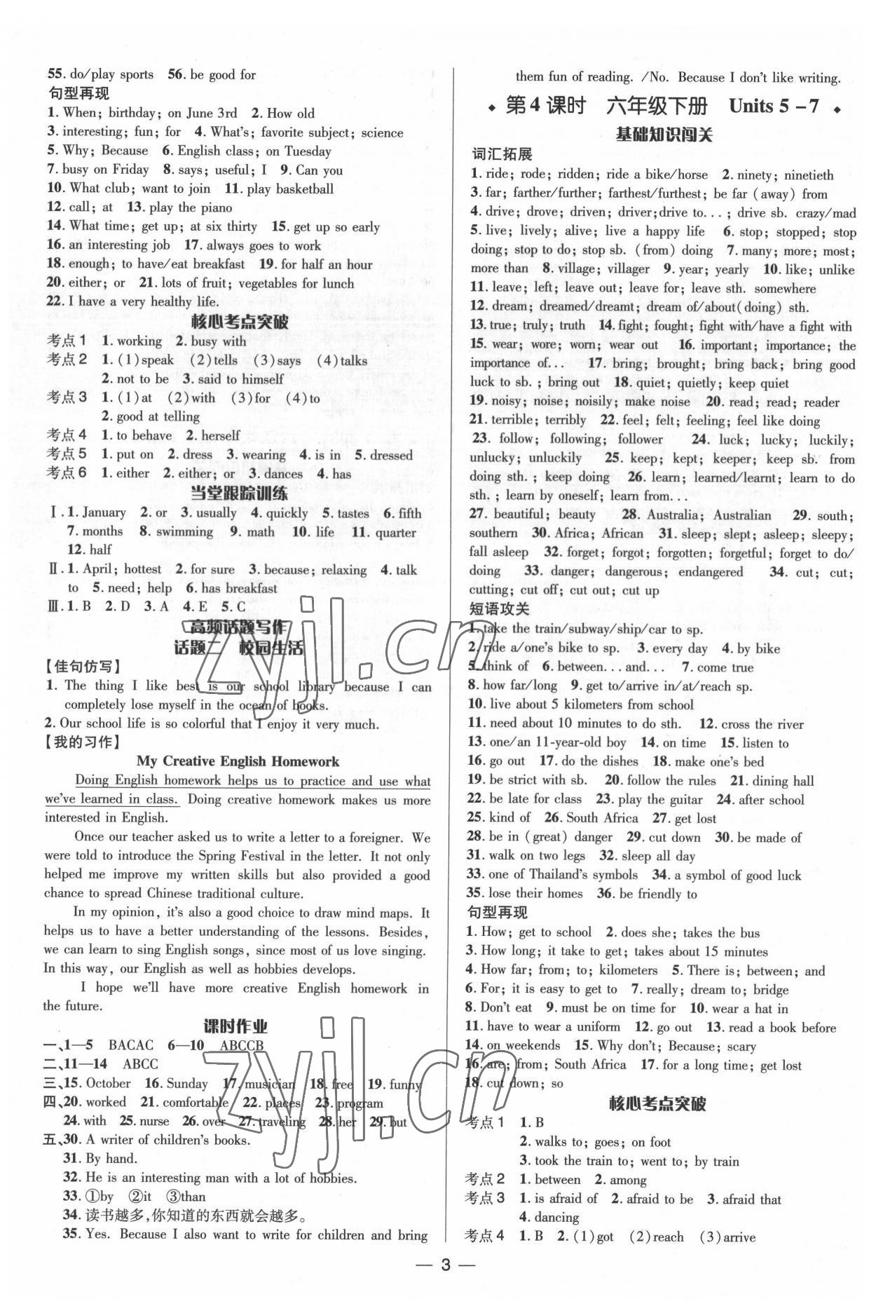 2022年中考对策英语泰安专版&nbsp;参考答案第3页