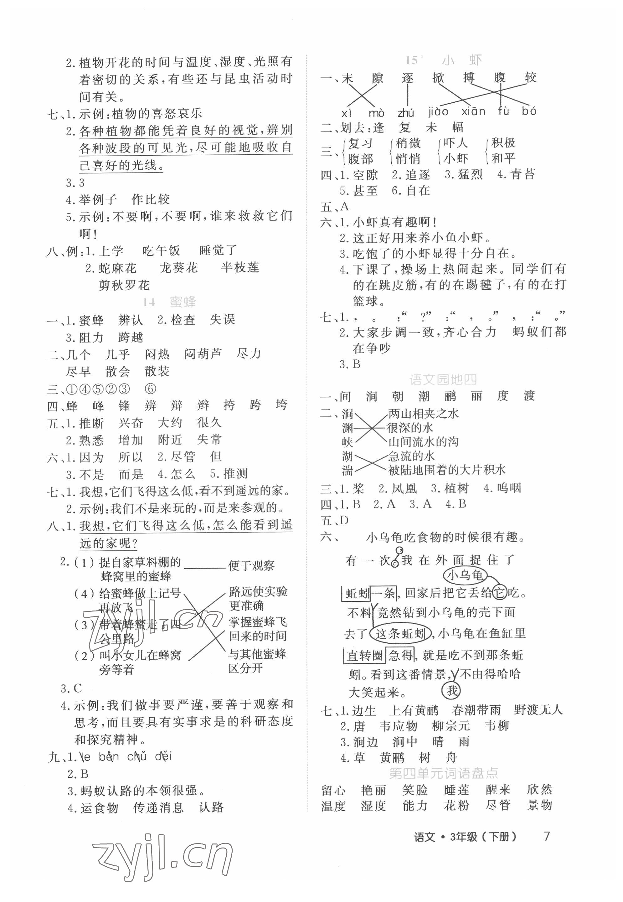 2022年细解巧练三年级语文下册人教版 第7页