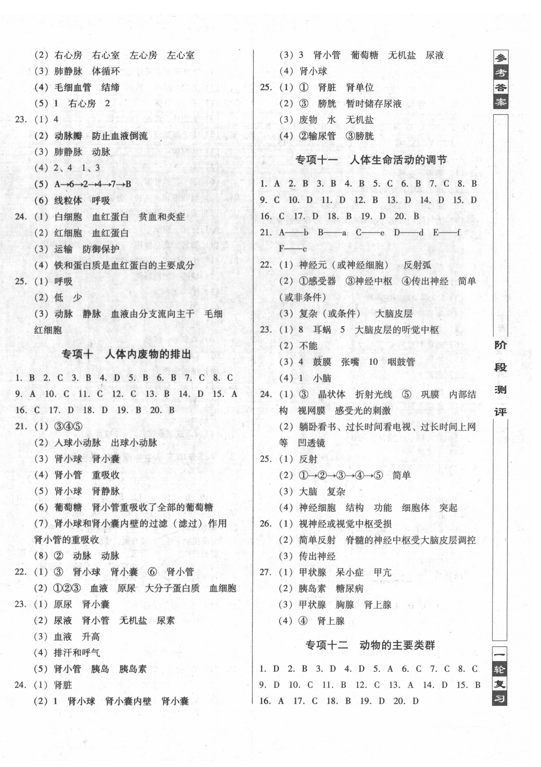 2022年中考階段總復習生物A卷 第4頁