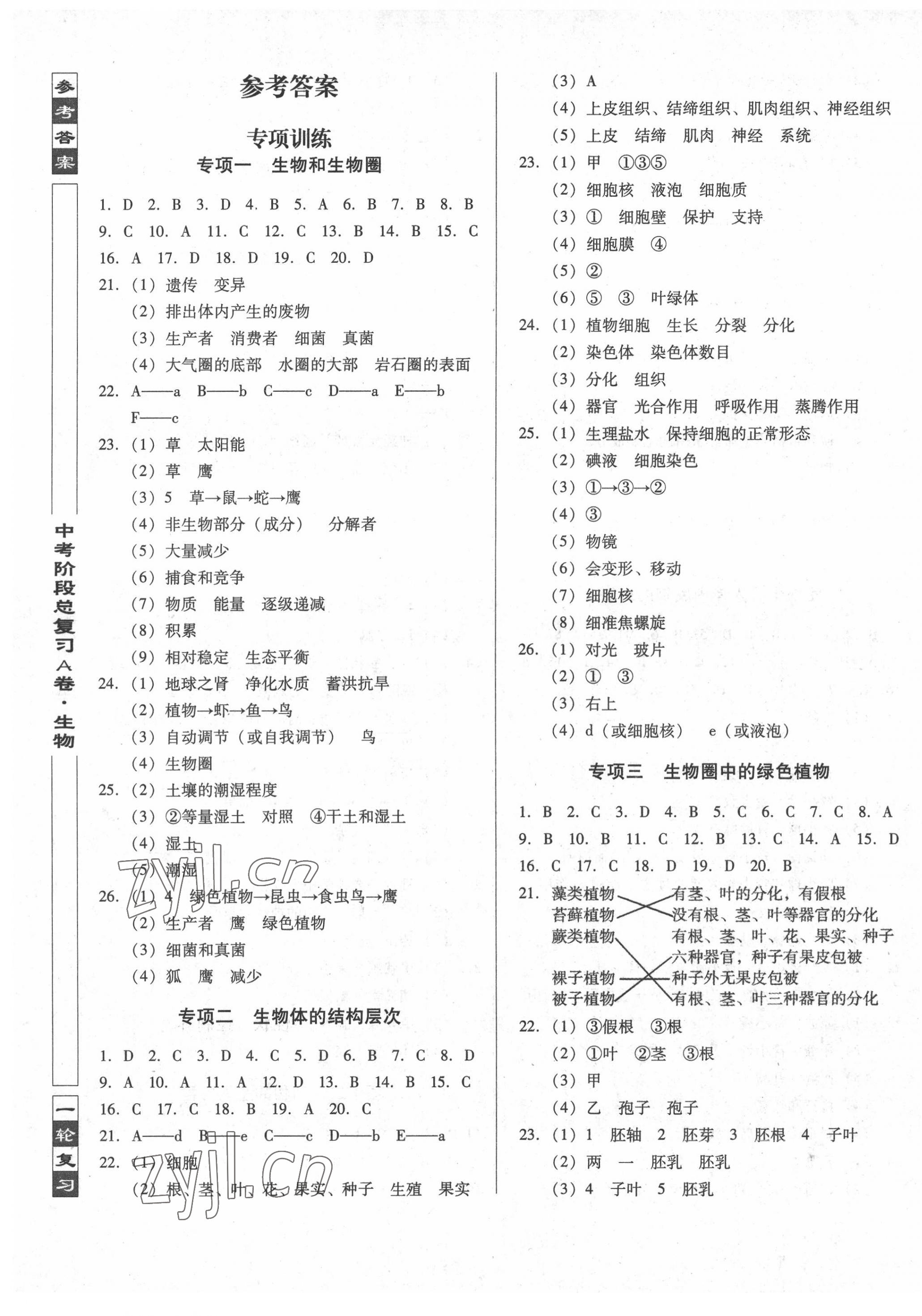 2022年中考阶段总复习生物A卷 第1页