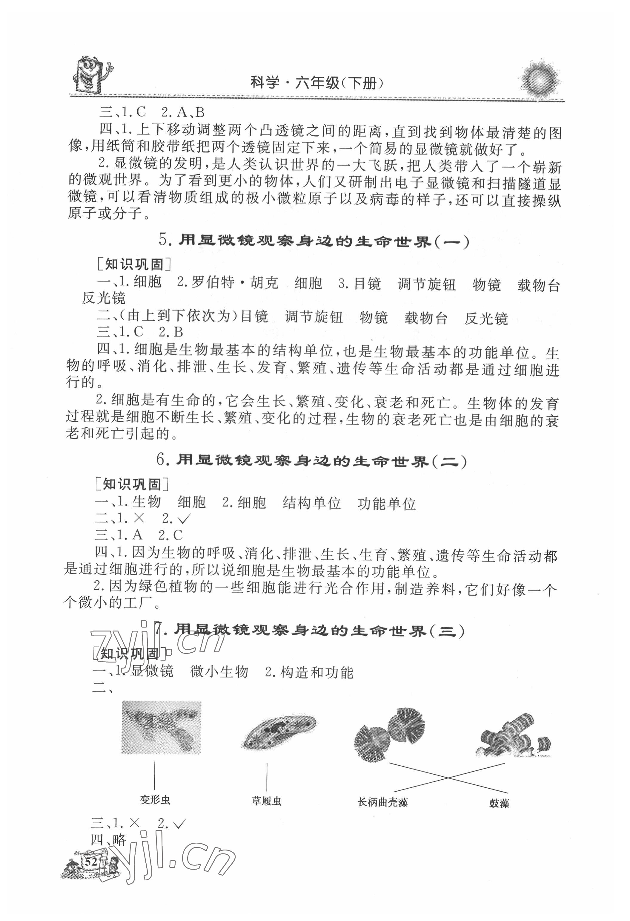 2022年名师导学伴你行科学同步练习六年级下册教科版 第2页