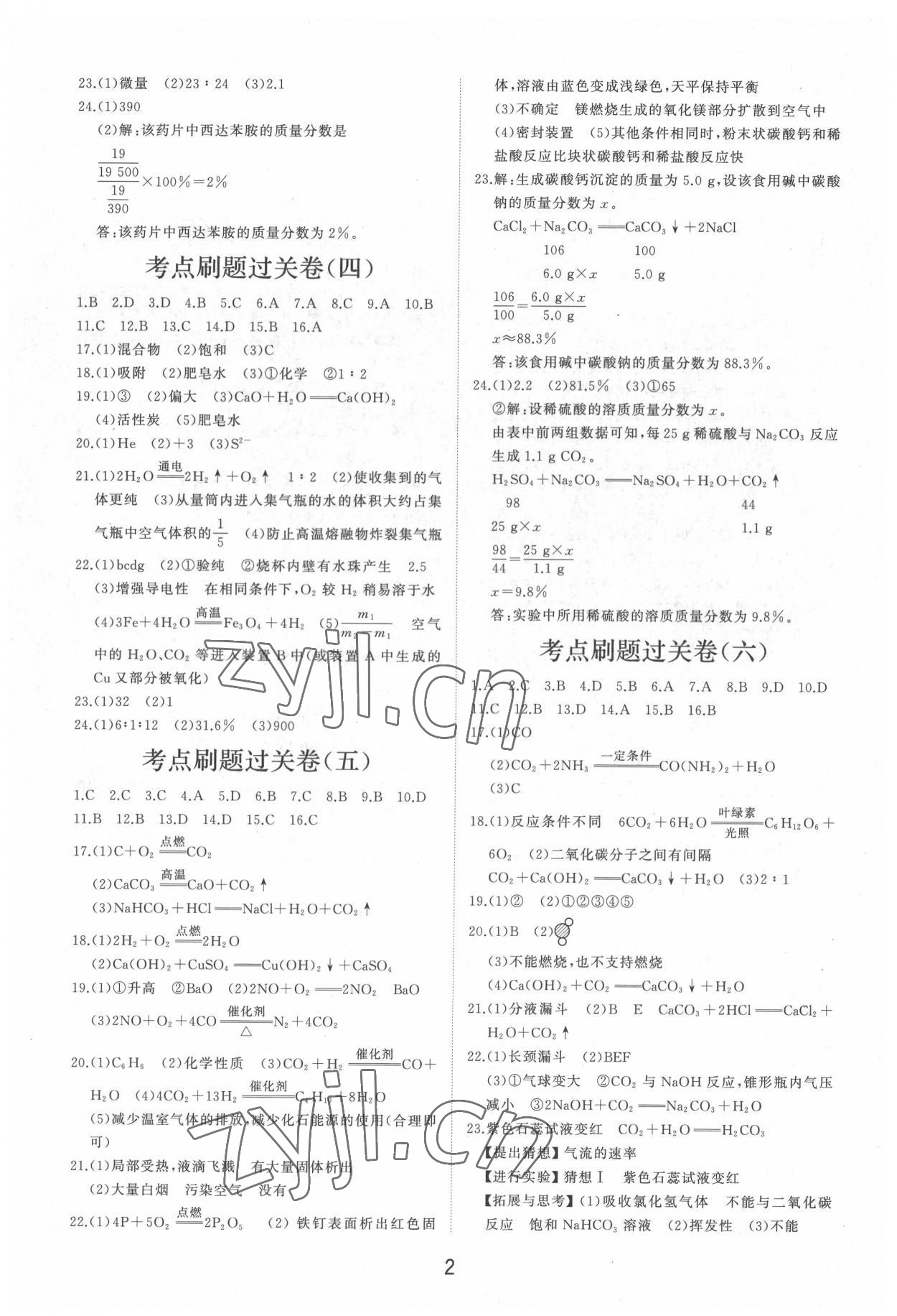 2022年初中總復習手冊分層專題卷化學 第2頁