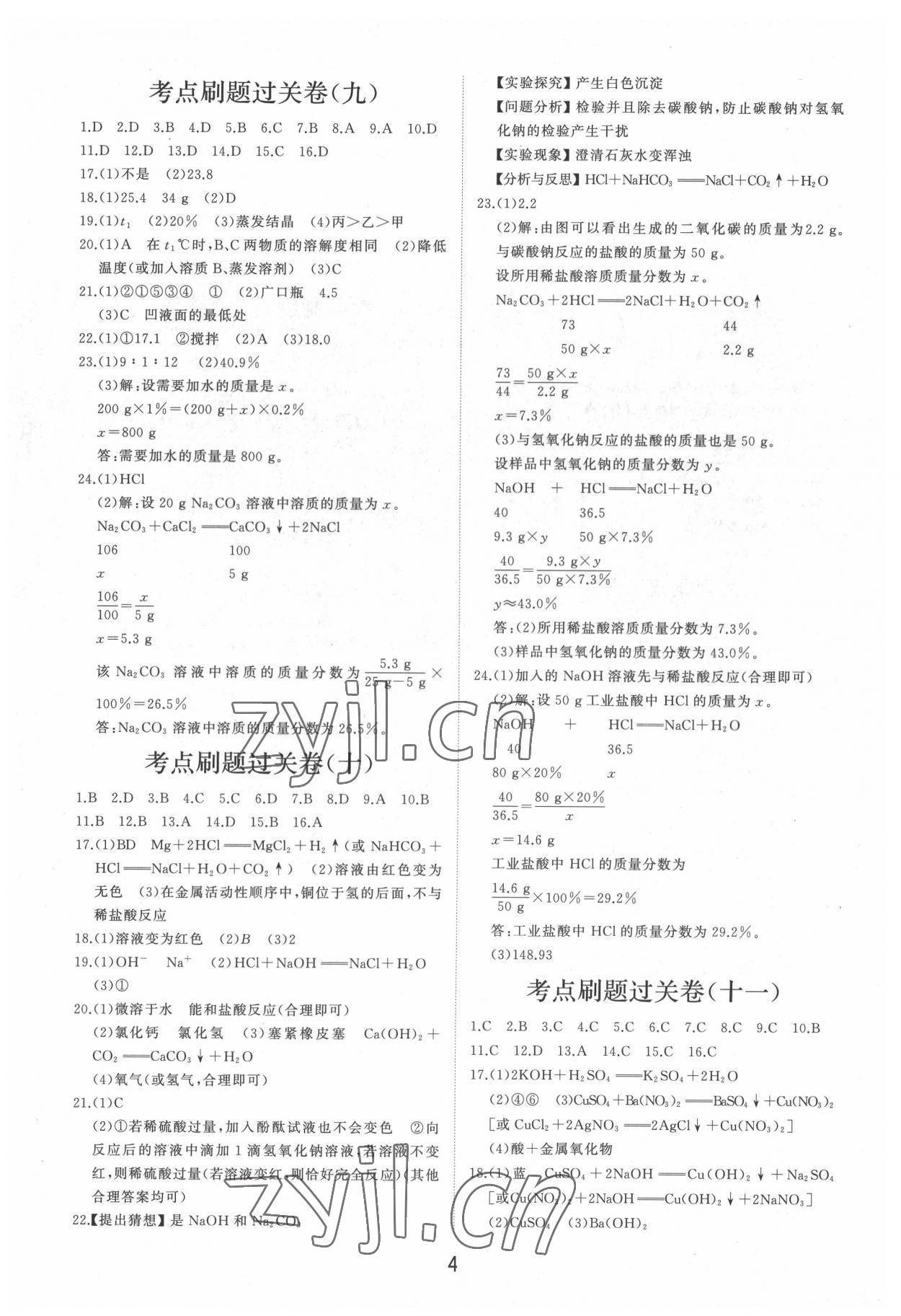 2022年初中總復(fù)習(xí)手冊分層專題卷化學(xué) 第4頁