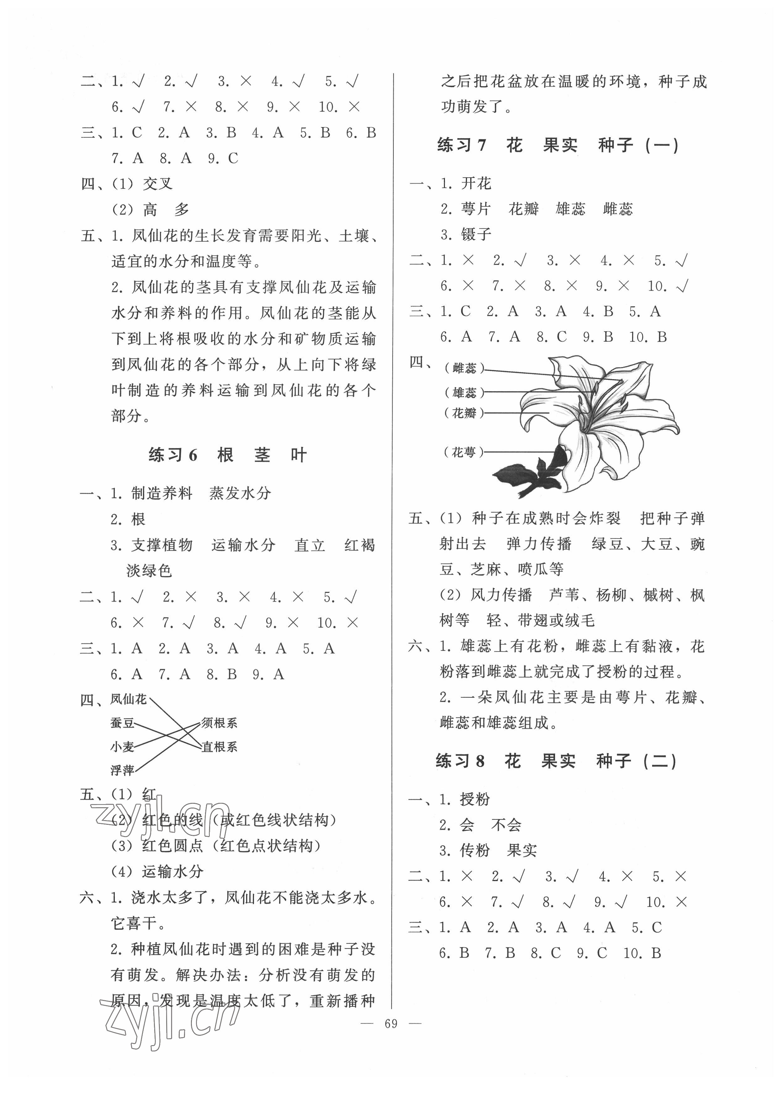 2022年順達測試卷三年級科學下冊科粵版 第3頁