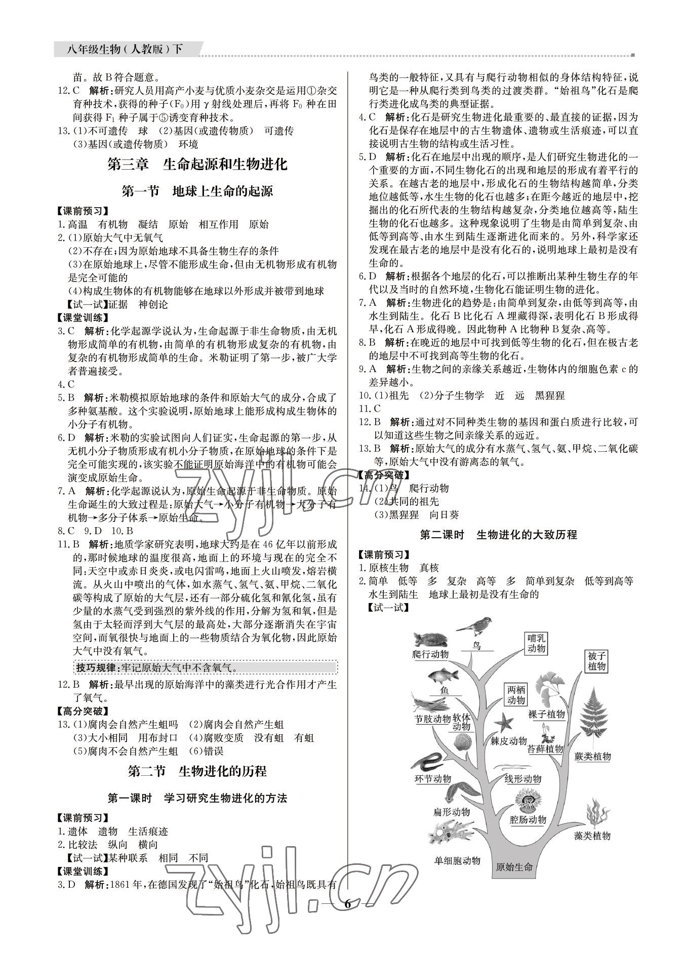 2022年培優(yōu)A計(jì)劃八年級(jí)生物下冊(cè)人教版 第6頁(yè)