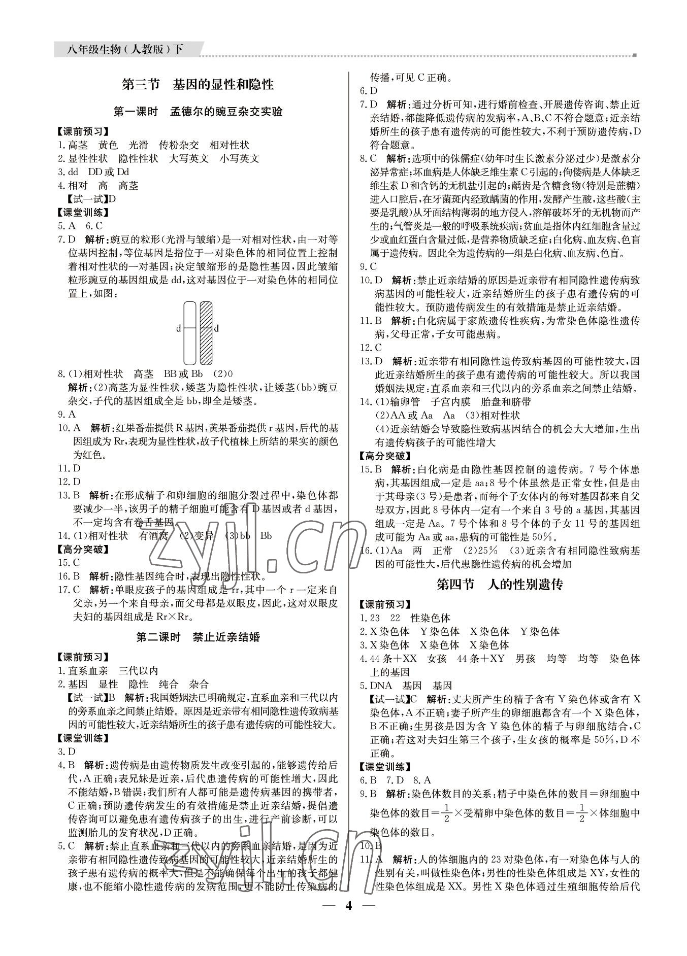 2022年培優(yōu)A計劃八年級生物下冊人教版 第4頁