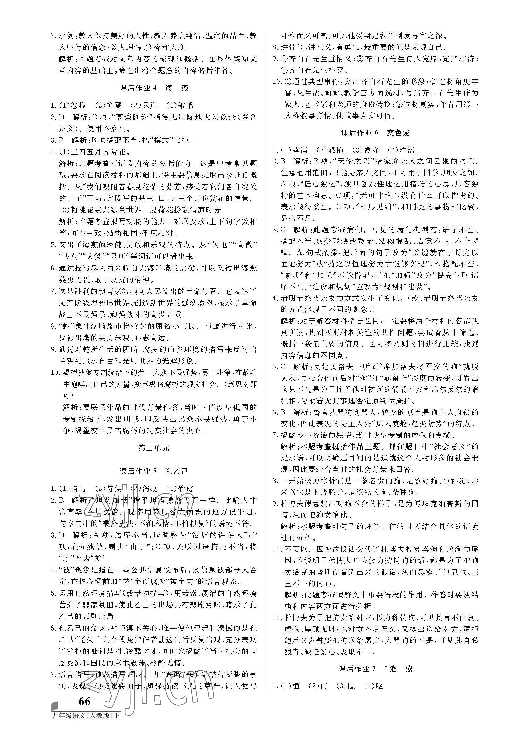 2022年培優(yōu)A計(jì)劃九年級語文下冊人教版 第2頁