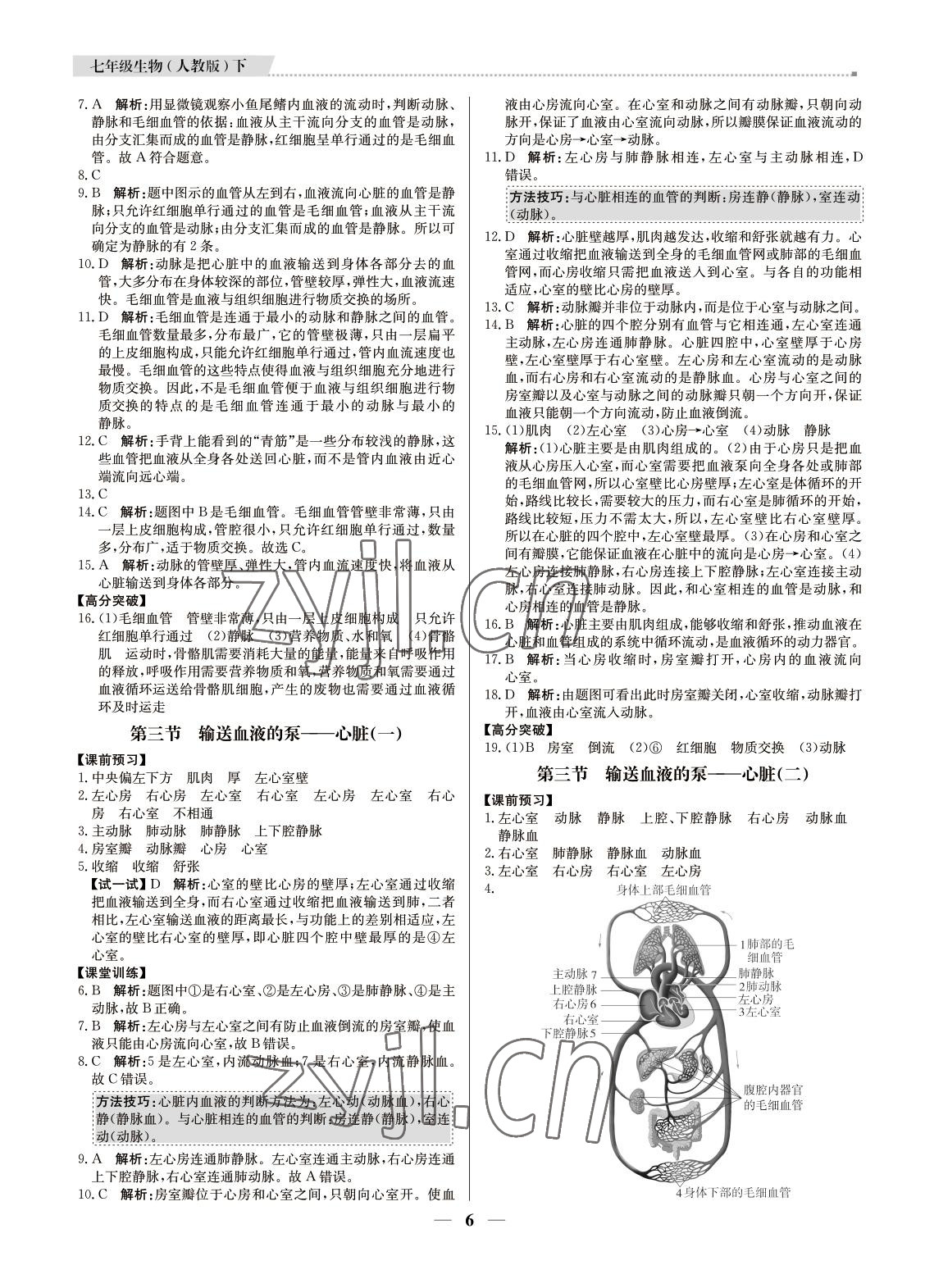 2022年培優(yōu)A計劃七年級生物下冊人教版 第6頁