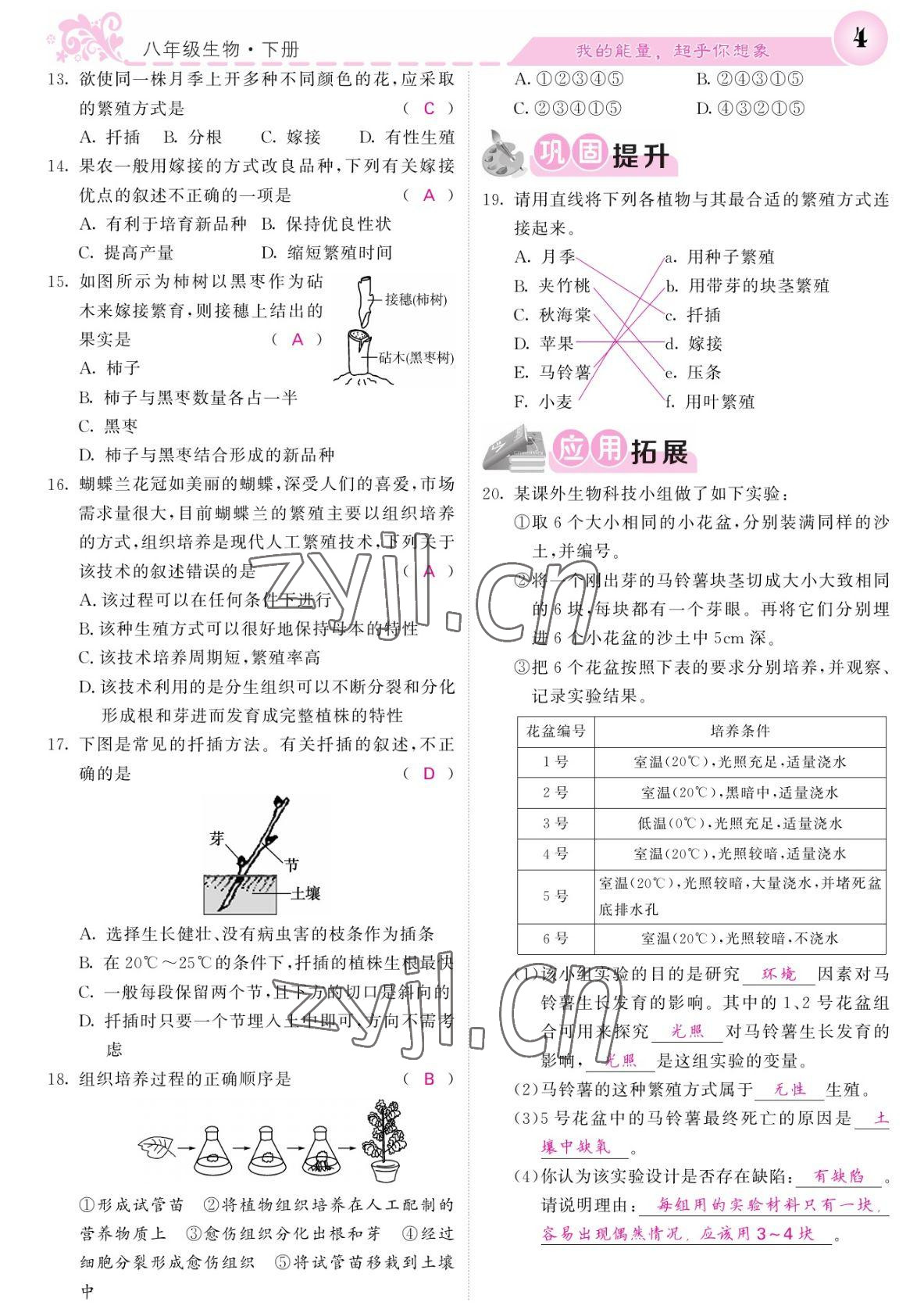 2022年課堂點睛八年級生物下冊人教版寧夏專版 參考答案第4頁