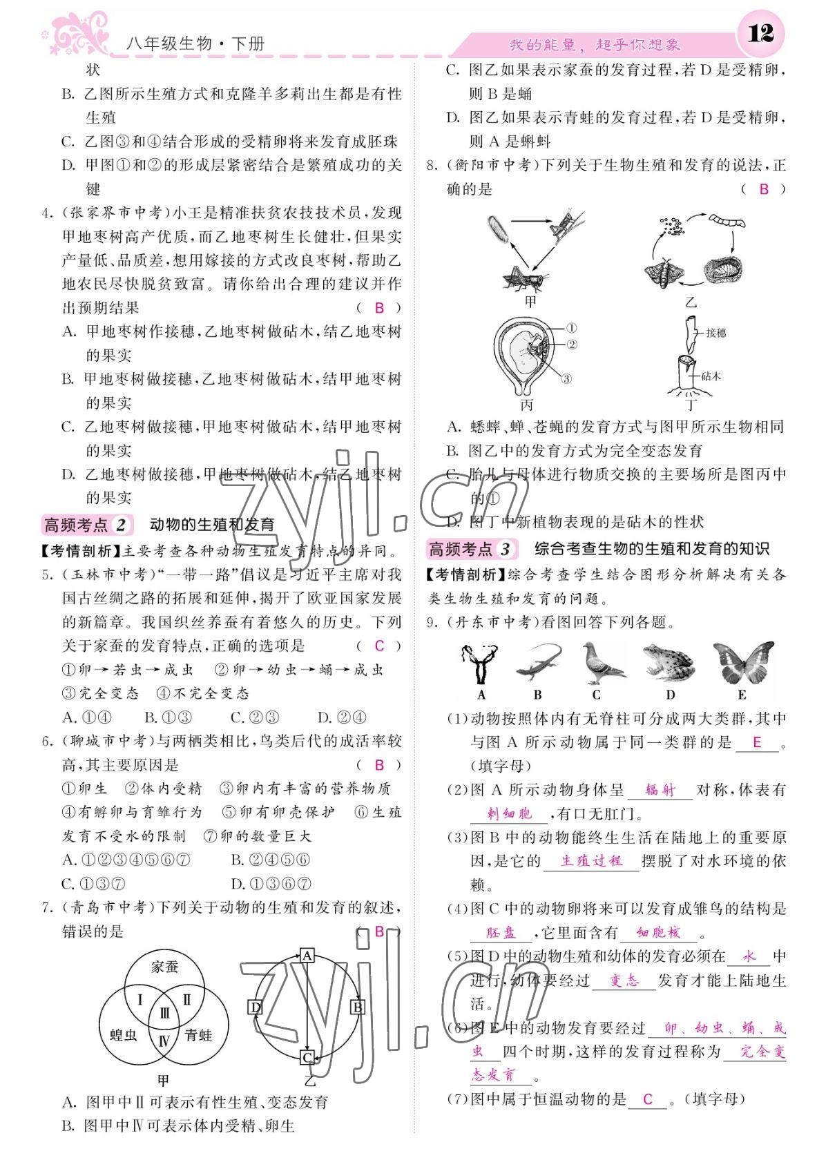 2022年課堂點睛八年級生物下冊人教版寧夏專版 參考答案第12頁