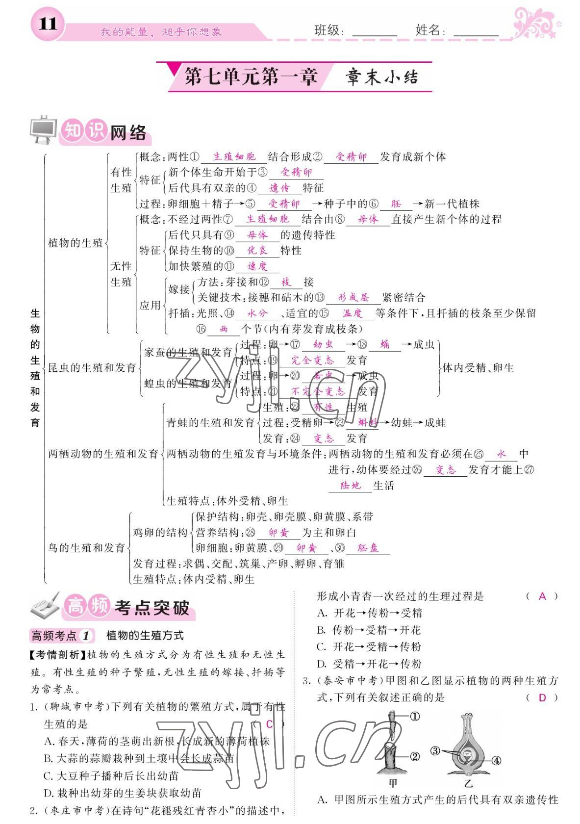 2022年課堂點睛八年級生物下冊人教版寧夏專版 參考答案第11頁