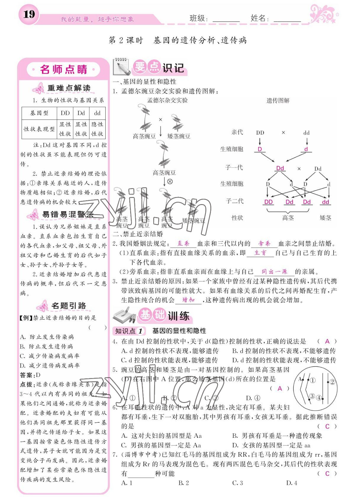 2022年課堂點睛八年級生物下冊人教版寧夏專版 參考答案第19頁