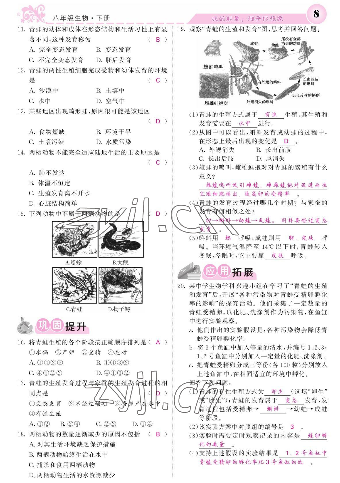 2022年課堂點(diǎn)睛八年級(jí)生物下冊(cè)人教版寧夏專版 參考答案第8頁