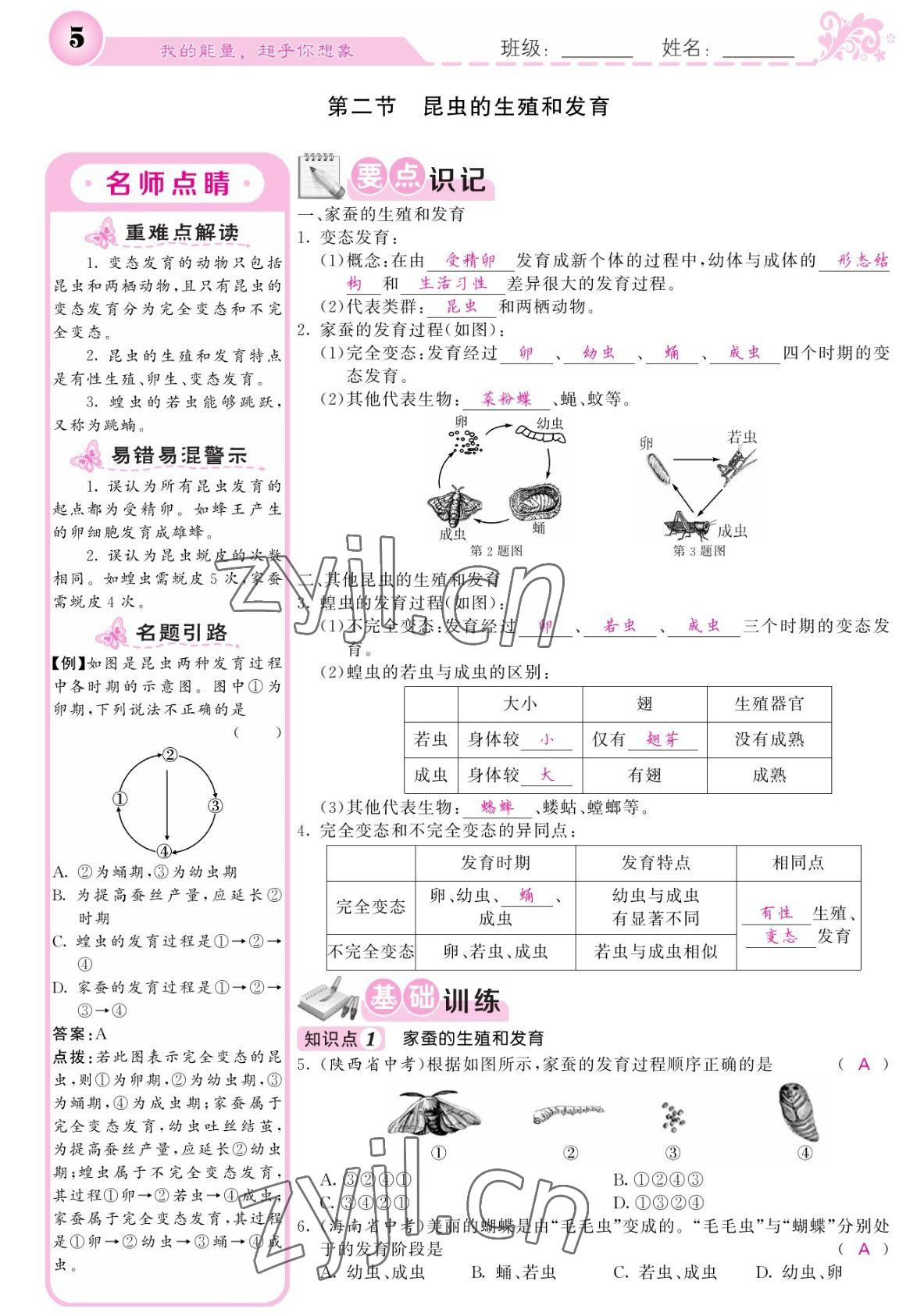 2022年課堂點睛八年級生物下冊人教版寧夏專版 參考答案第5頁